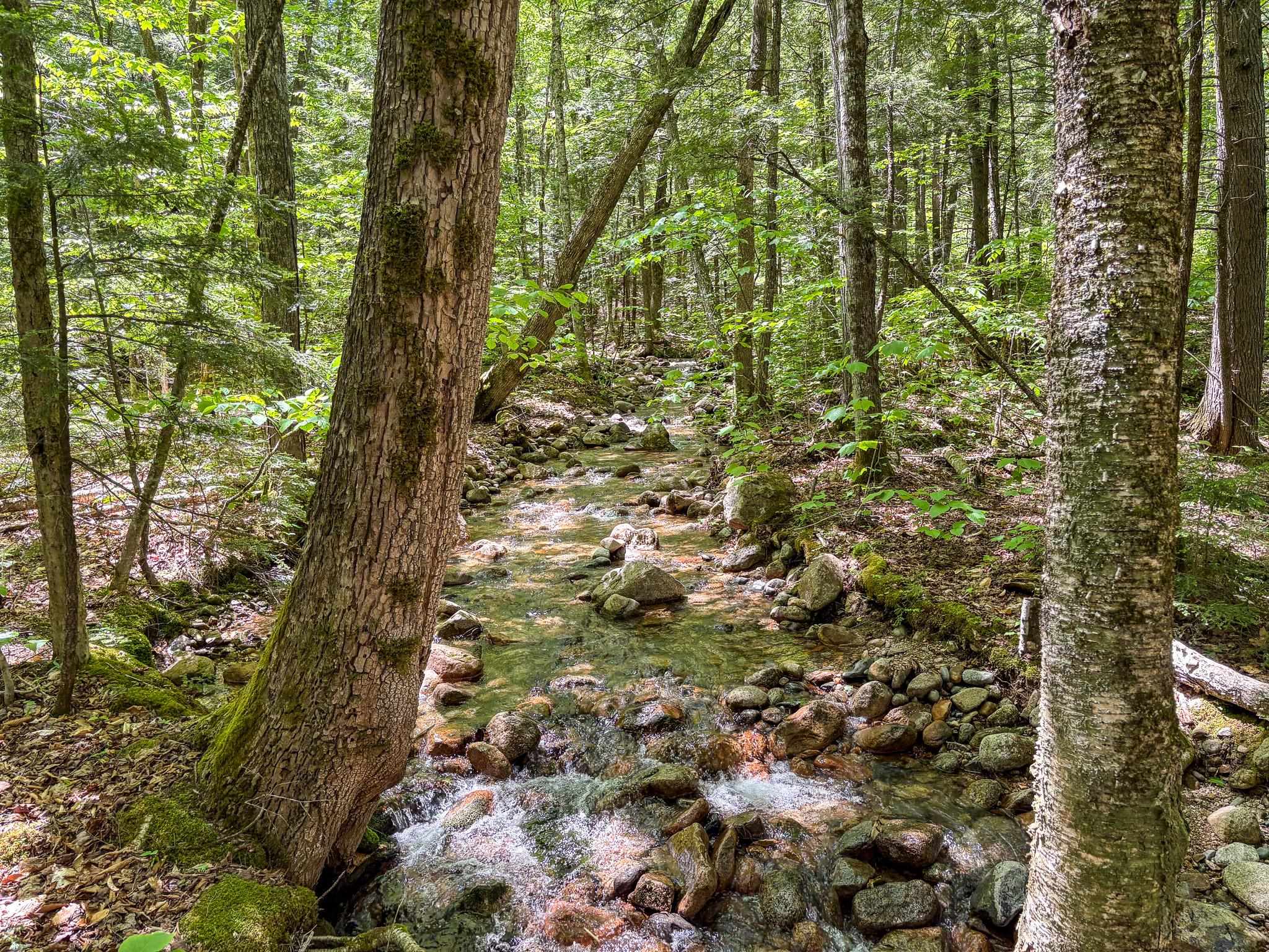 00 Rolling Ridge Rd, Bartlett, NH 03812