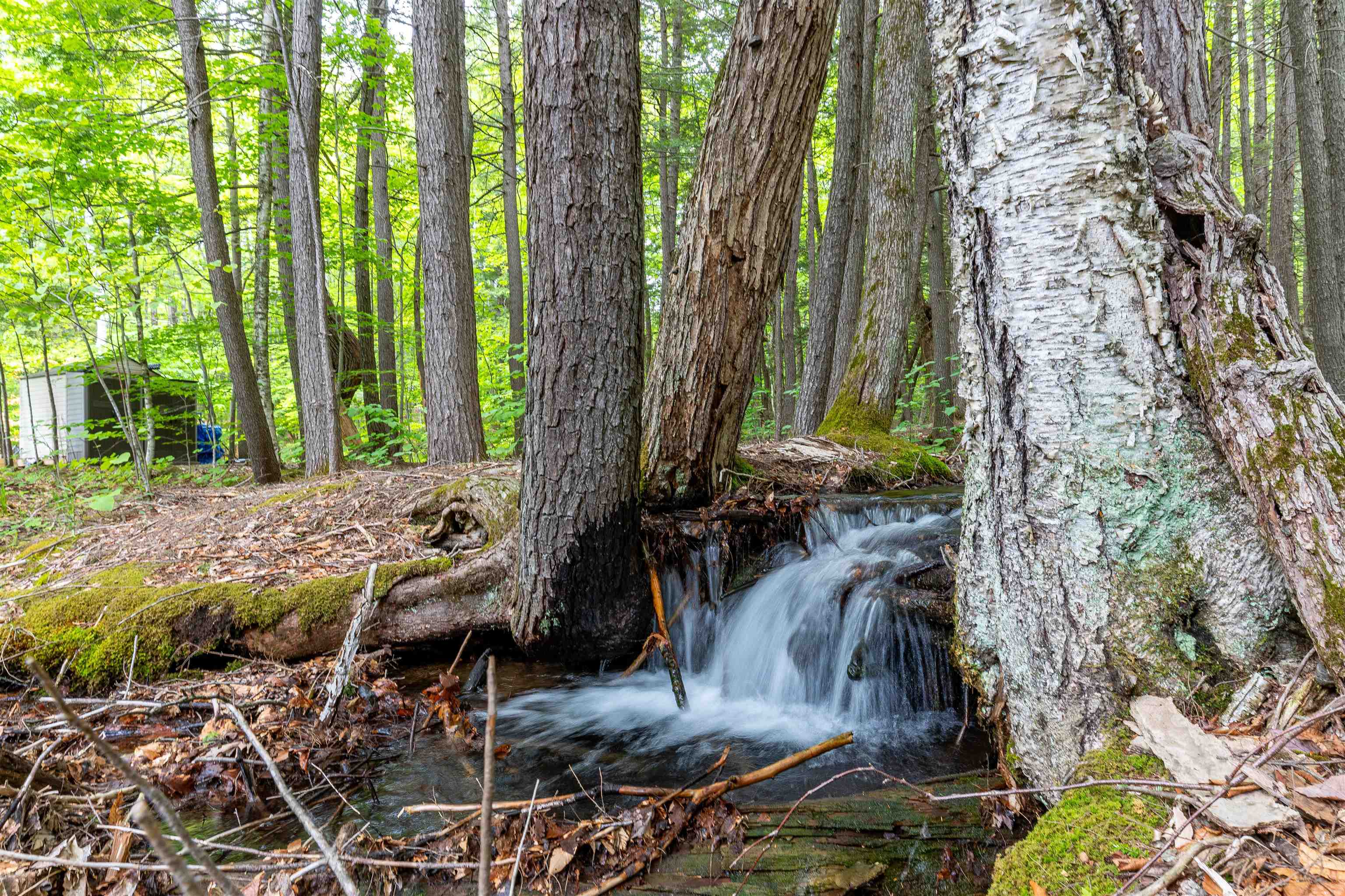 Stream Behind House