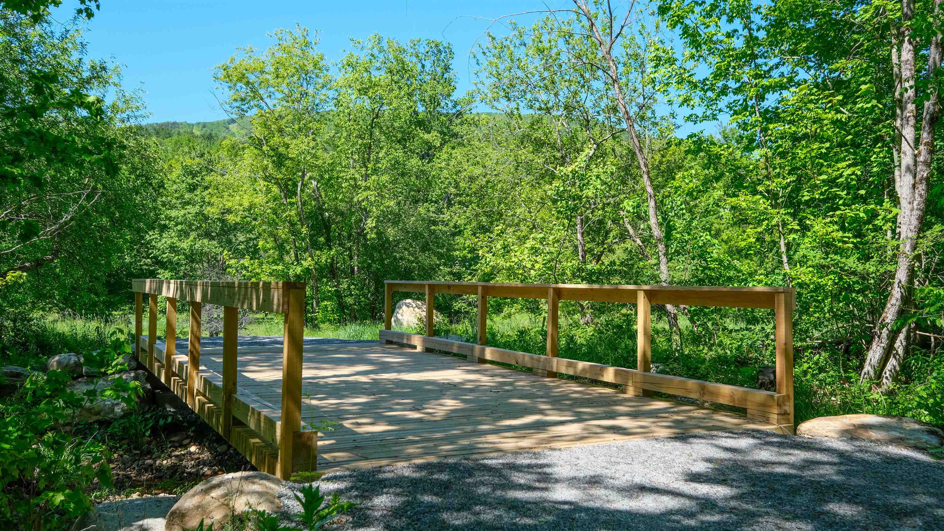 Bridge access 25445610