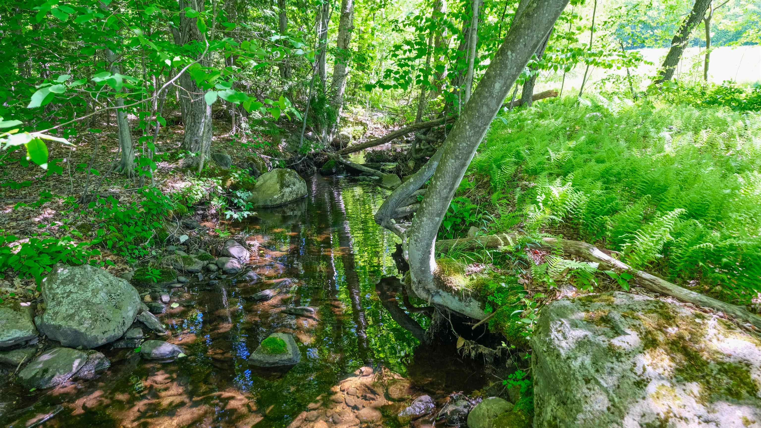 Stream meander through side of property 25445612