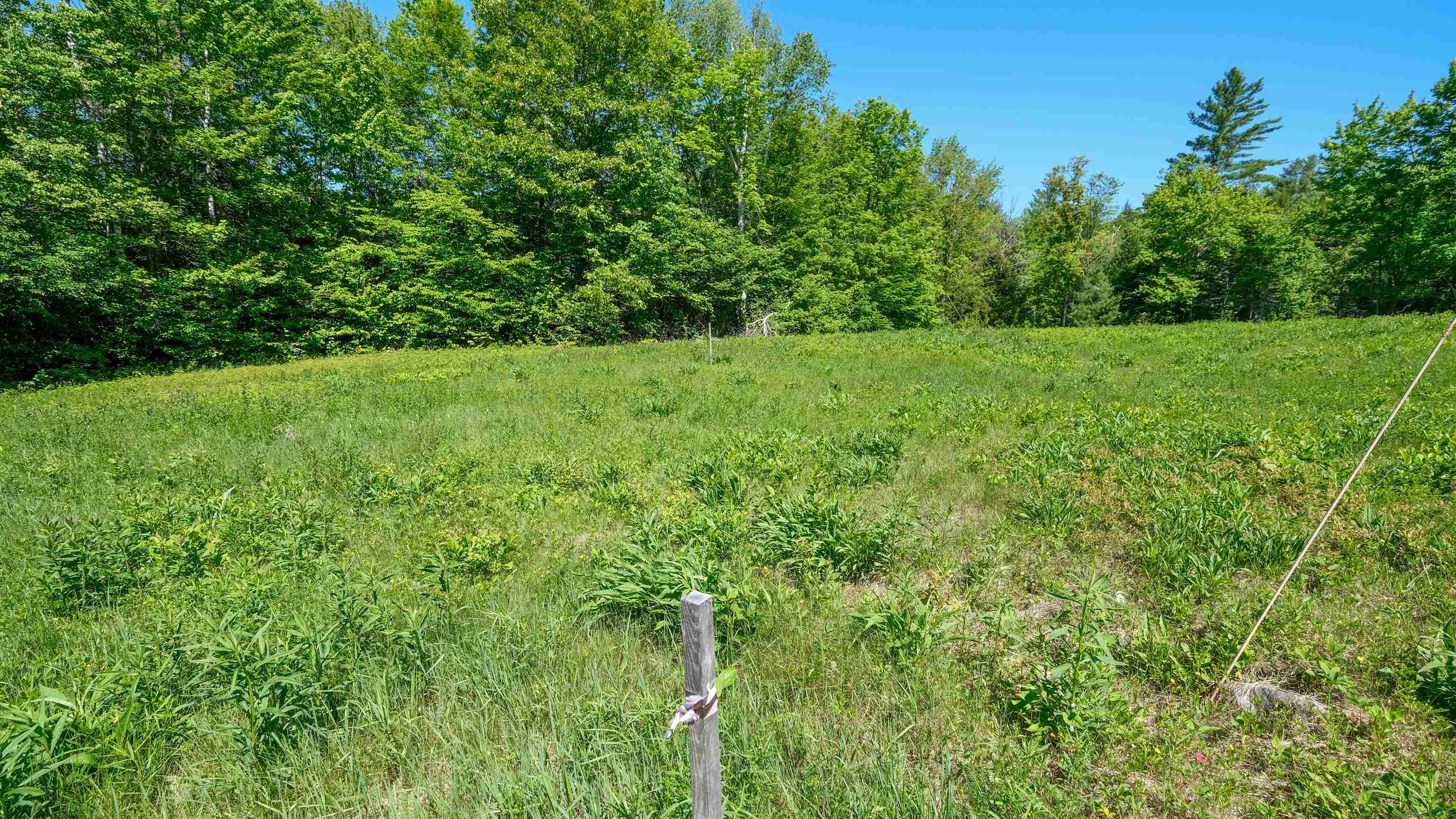 Stakes for home site 25445606