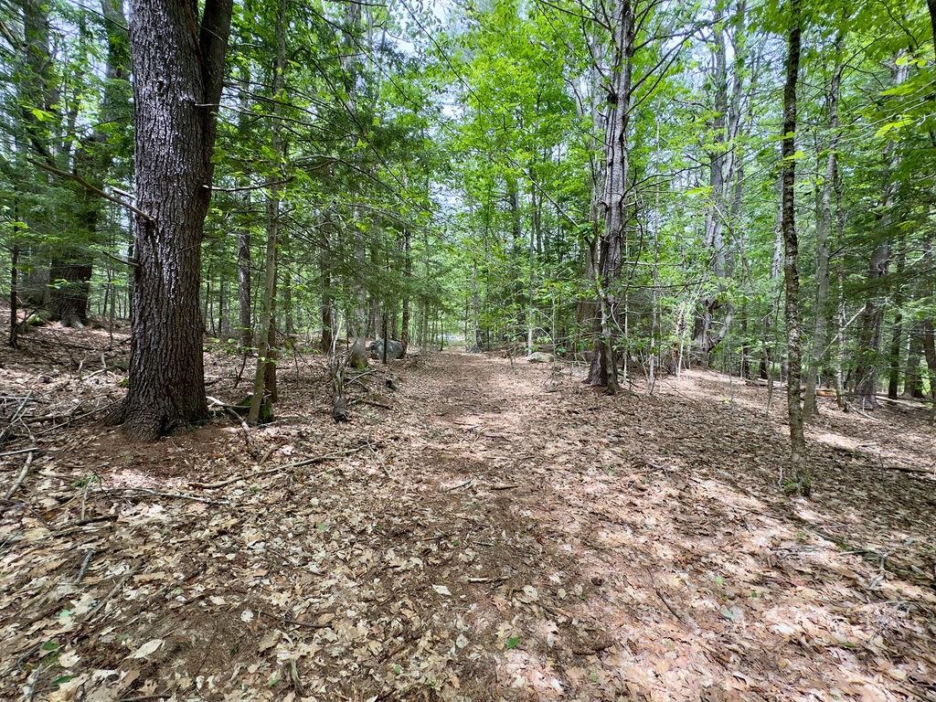 77-79 Province Rd, Strafford, NH 03884