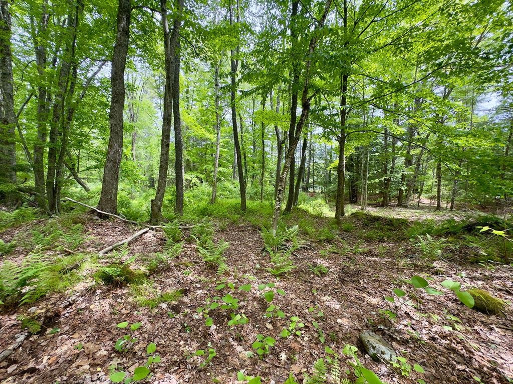 77-79 Province Rd, Strafford, NH 03884
