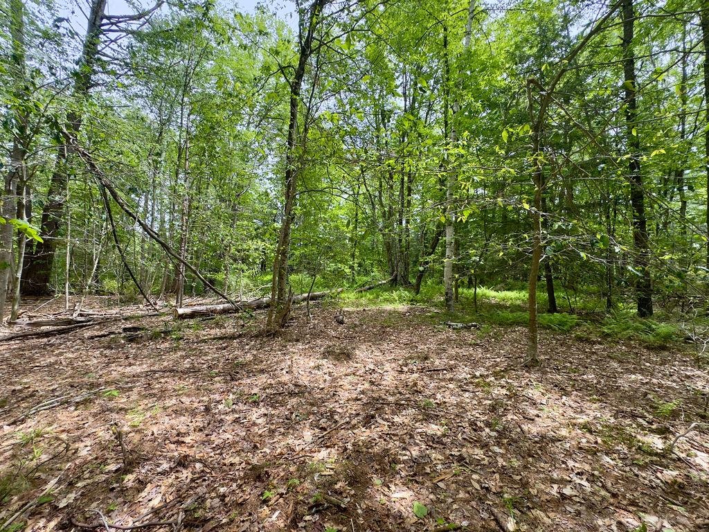 77-79 Province Rd, Strafford, NH 03884