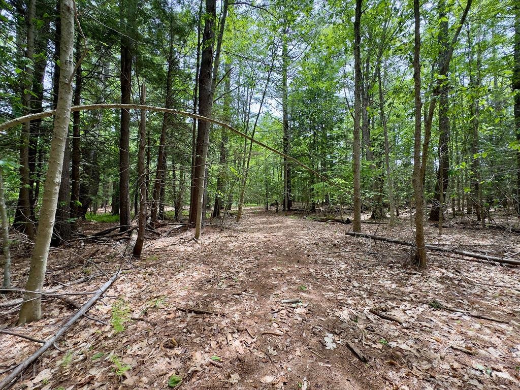 77-79 Province Rd, Strafford, NH 03884