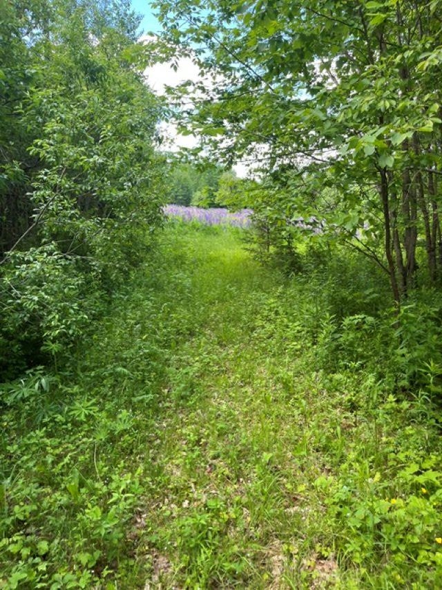 6 Button Rd, Jefferson, NH 03583