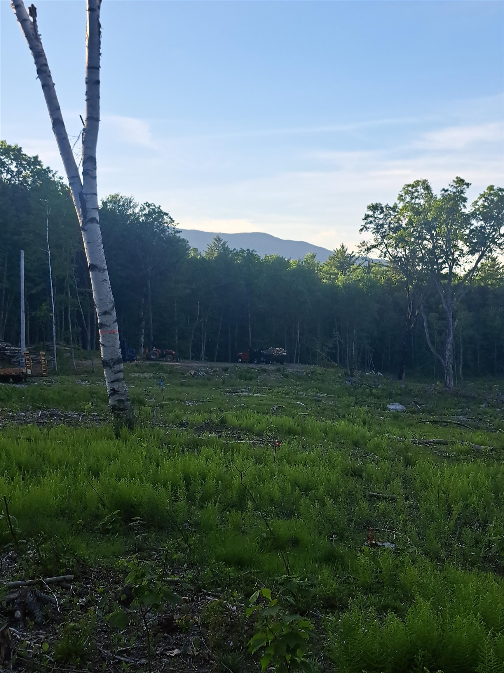 Jaffrey NH&nbsp;Land for sale $$250,000 | 5 Acres  | Price Per Acre $0  | Total Lots 3