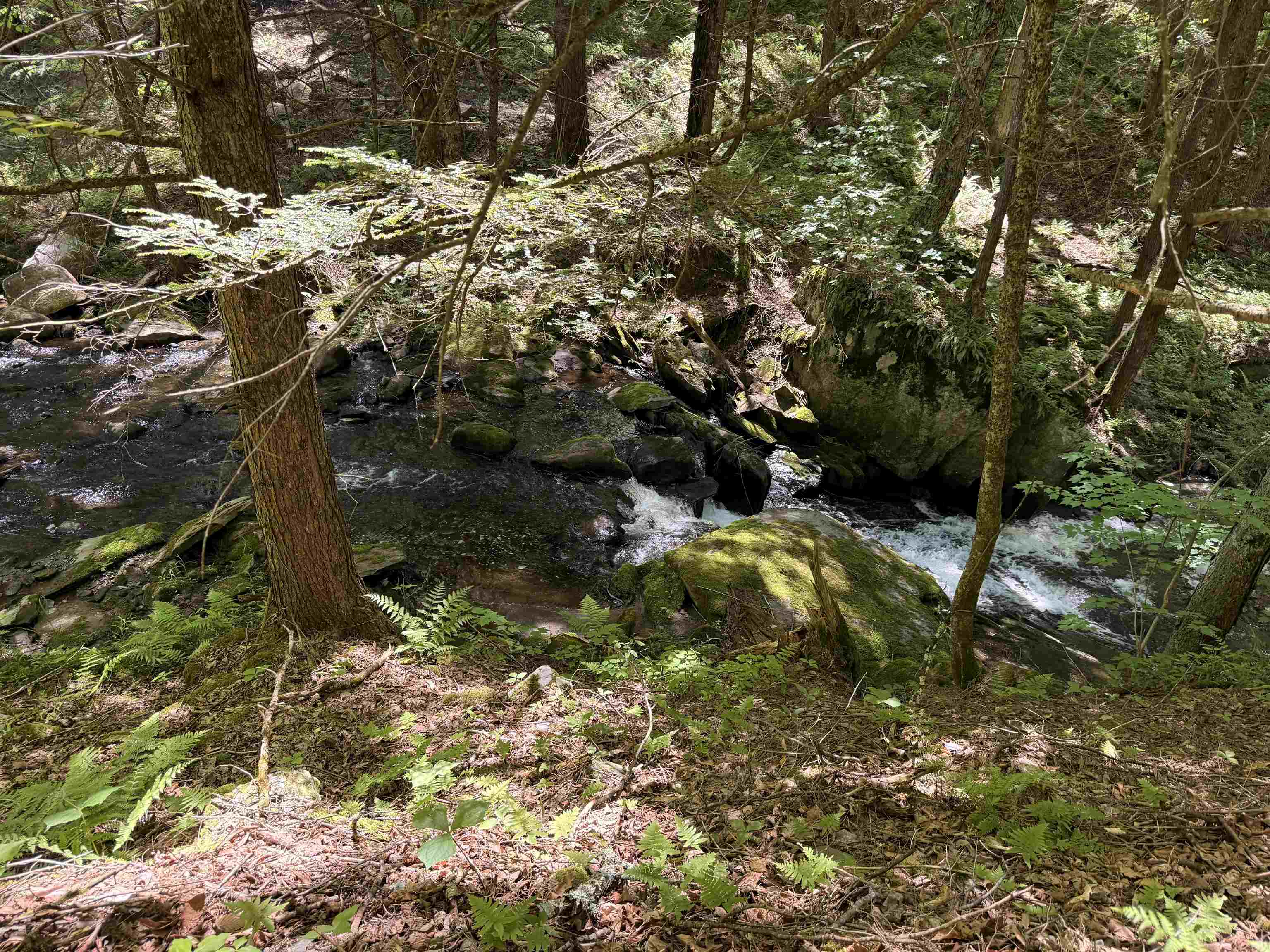 Property photo 13