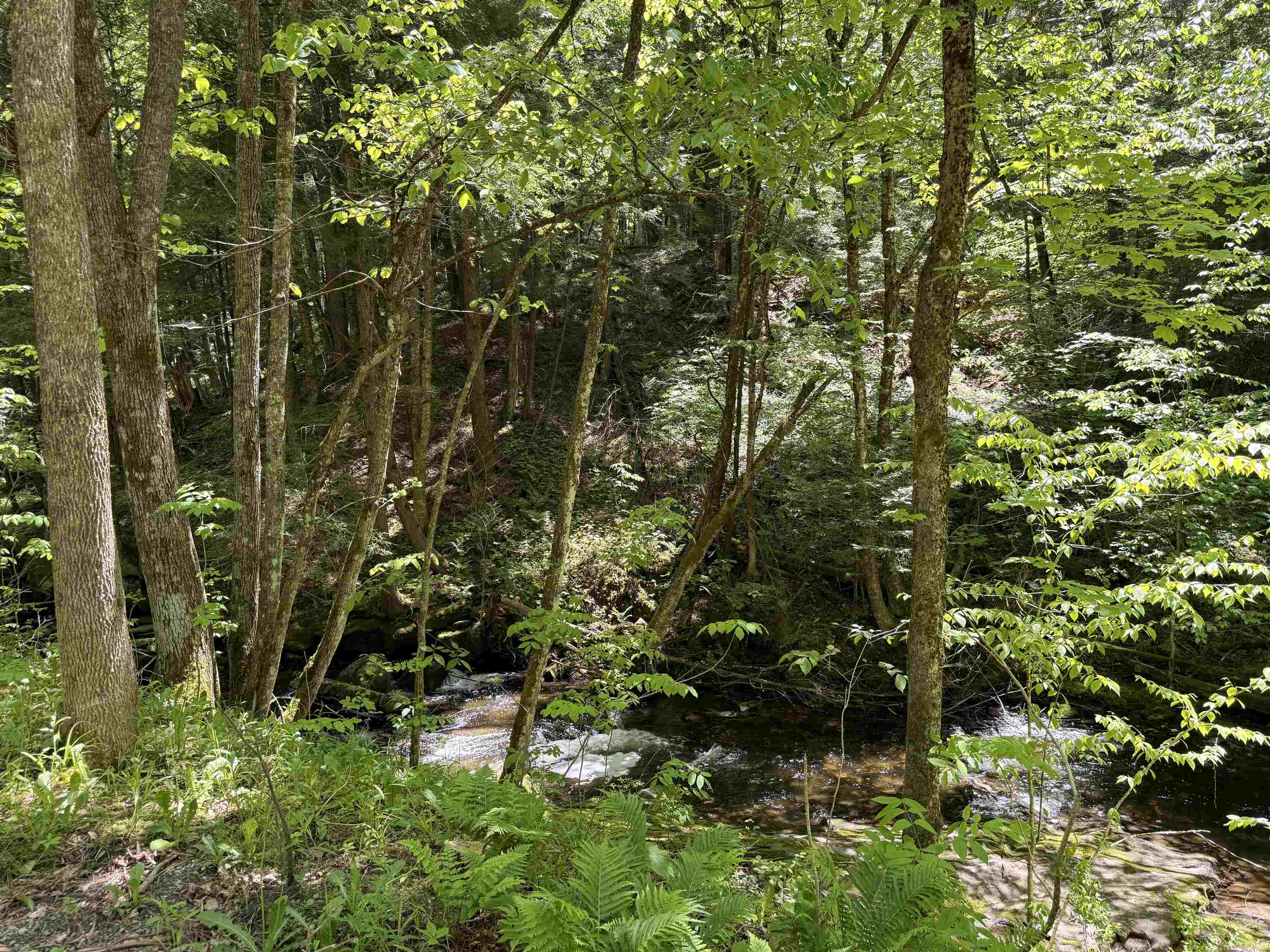 Property photo 23