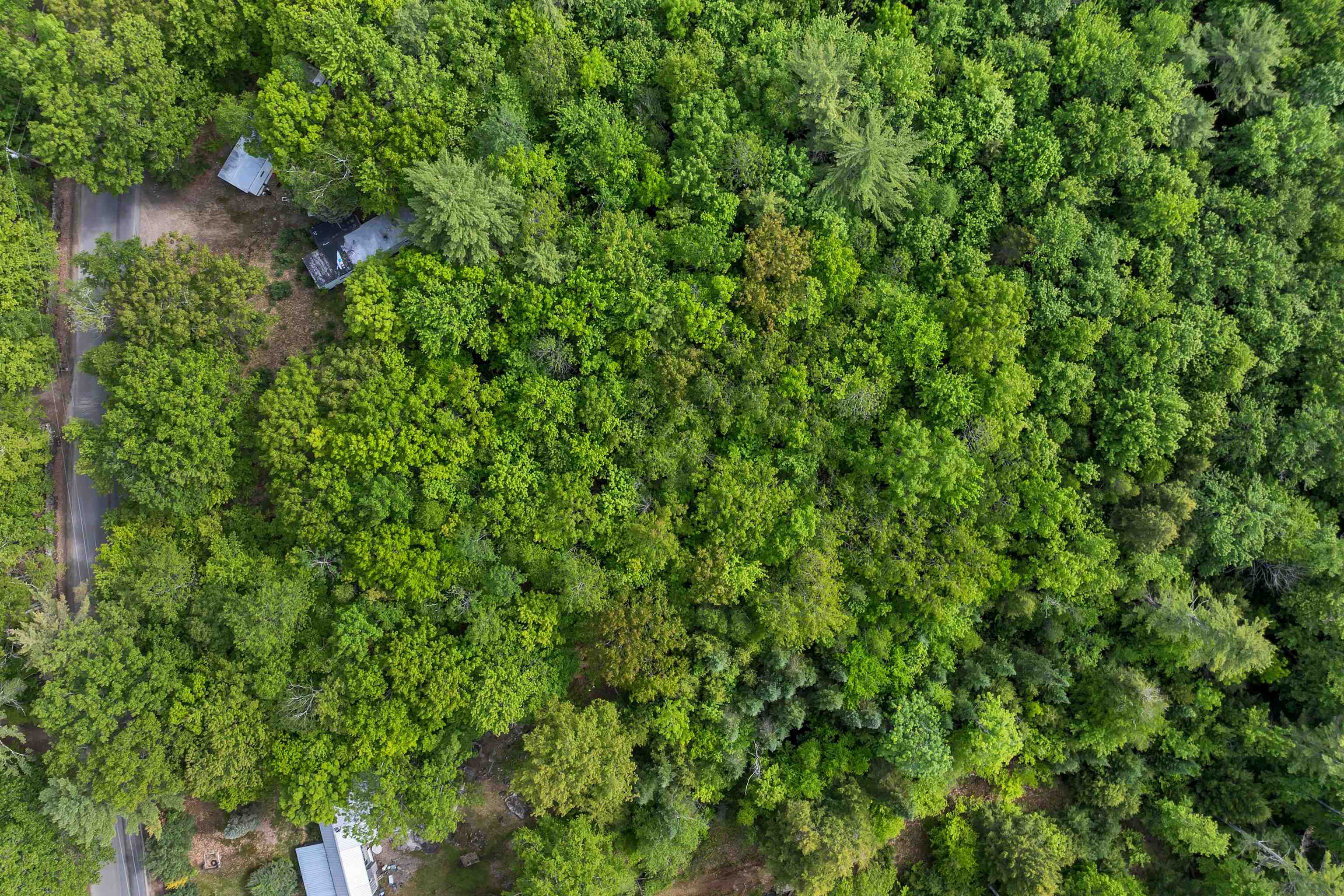 28 & 34 Hanson Mill Road — photo 3