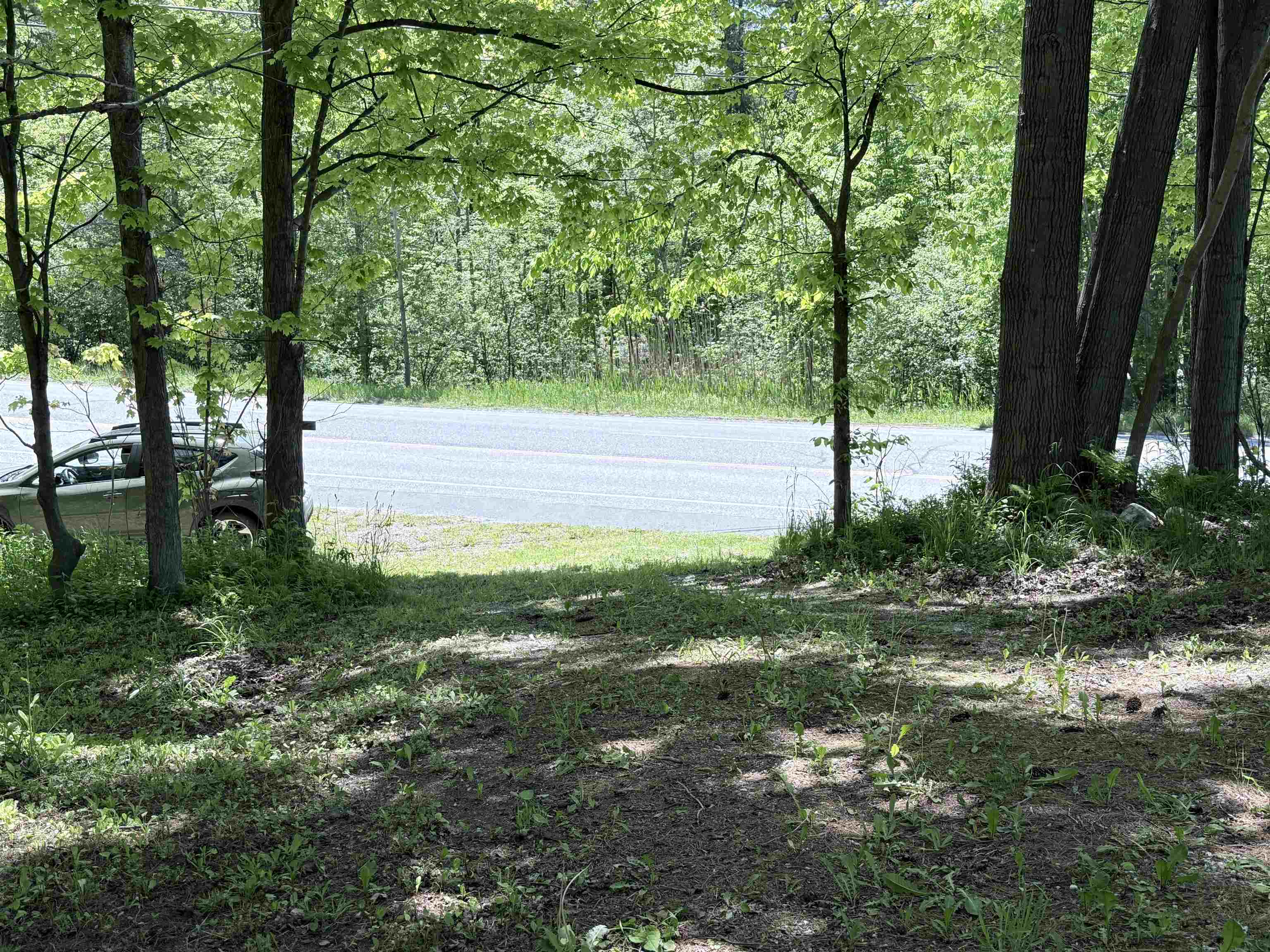Looking down the driveway to 103