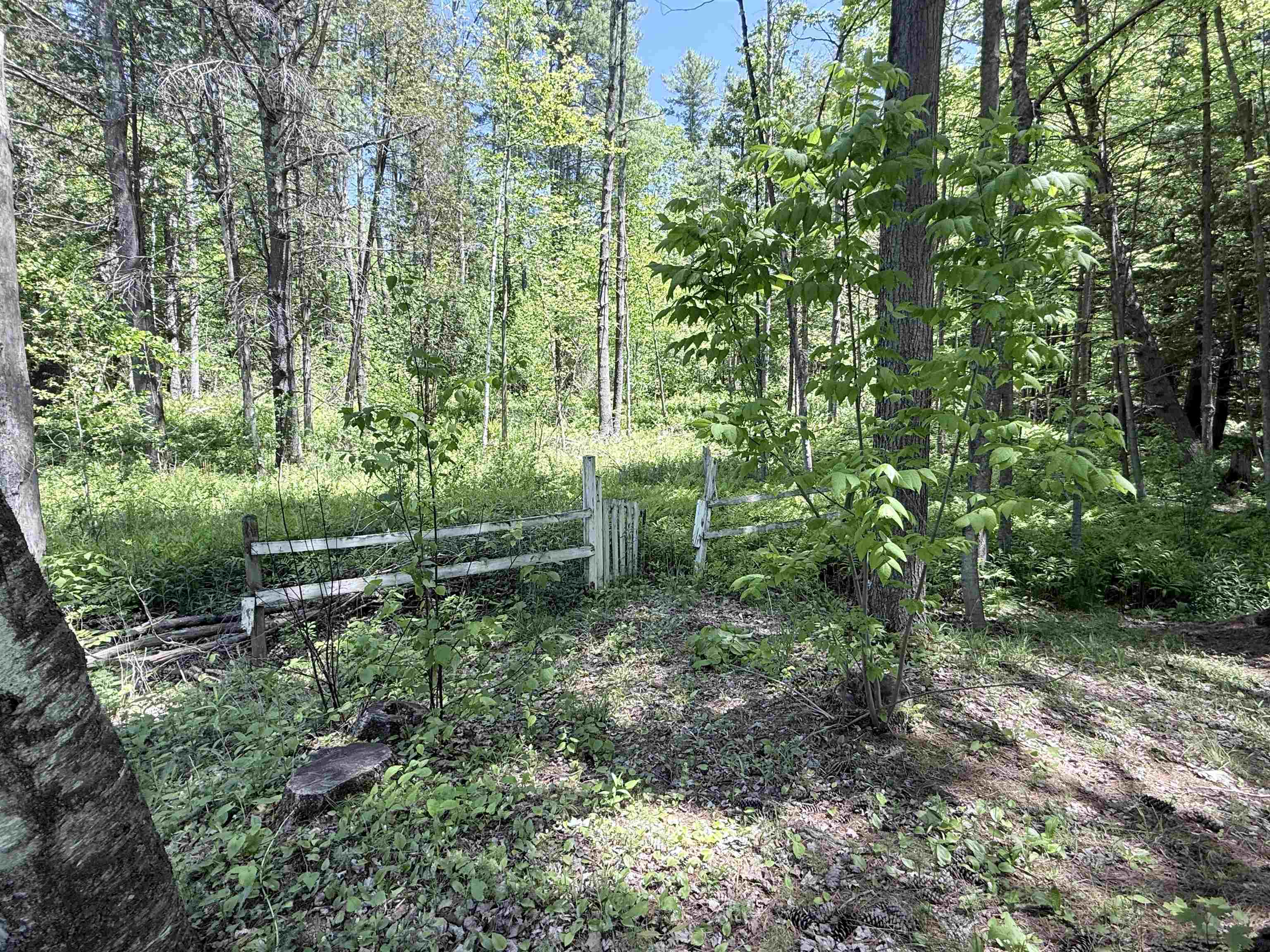17 acres of woodland out your back door