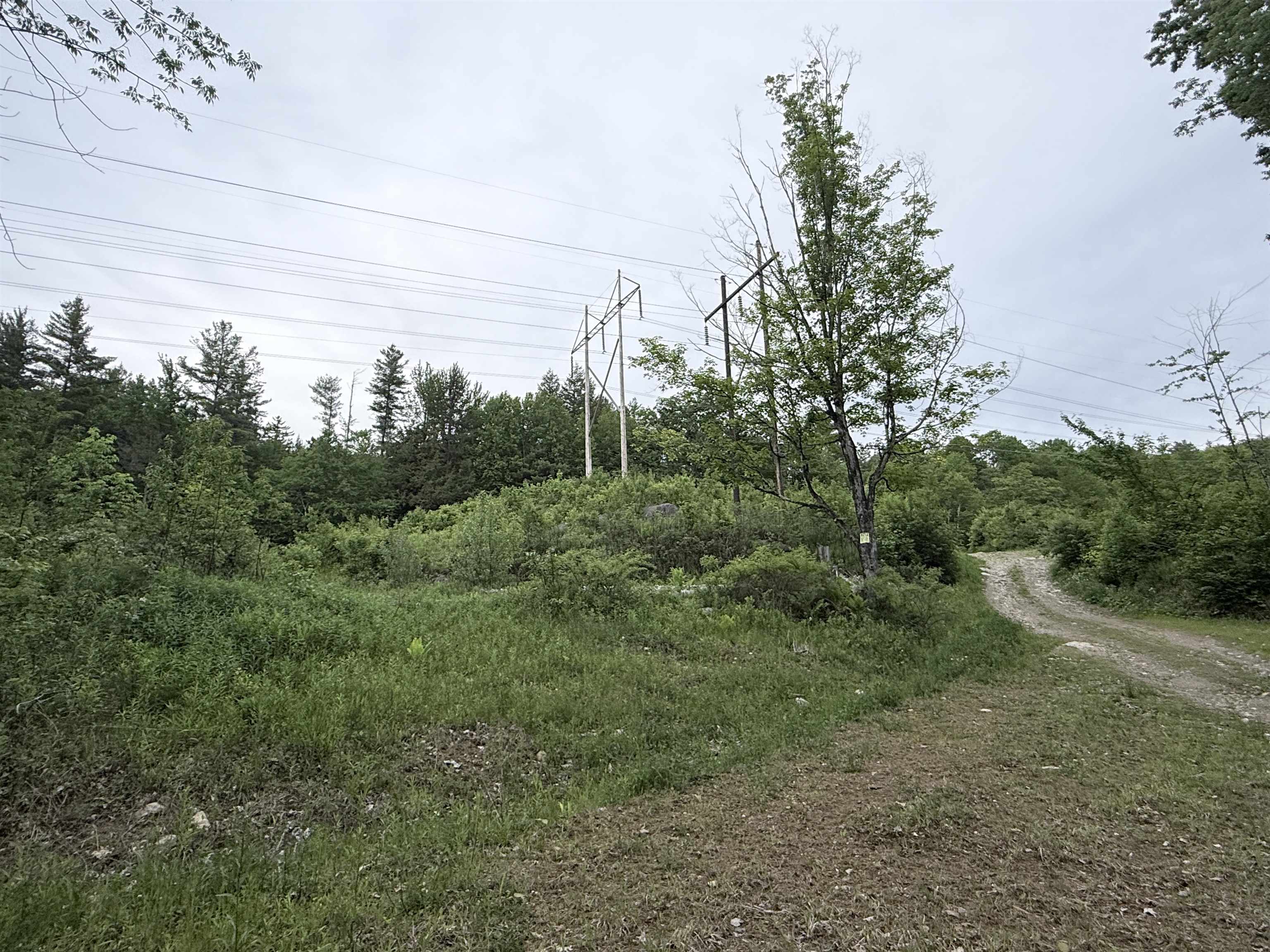 Powerlines cross the property