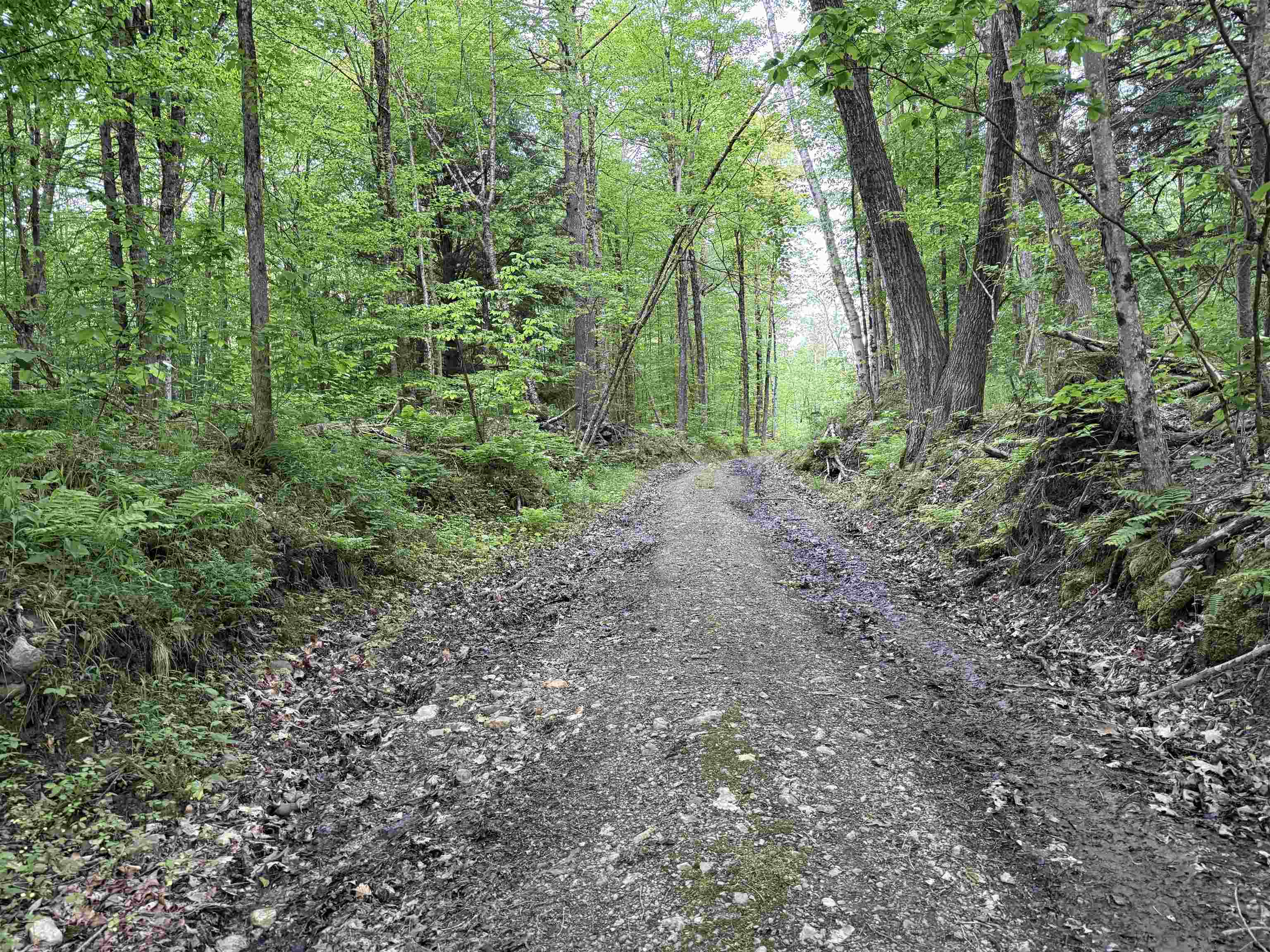 Property has over 1700 ft of frontage on class IV road