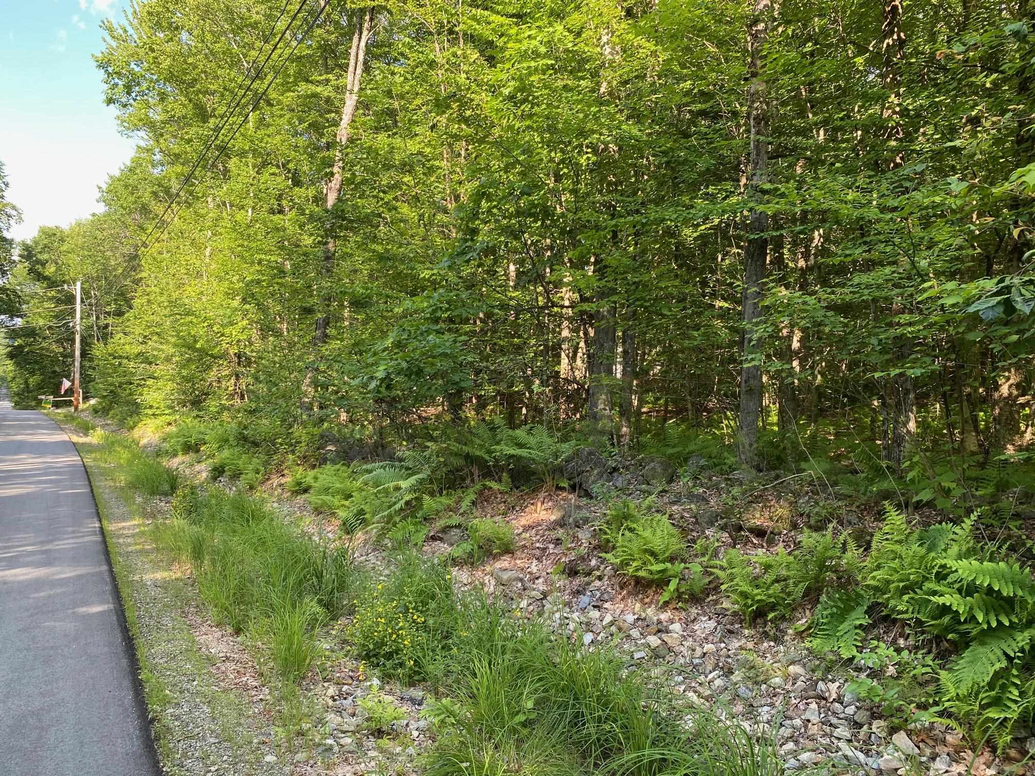 164 Lot 18-3 Mason Rd, Milton, NH 03851