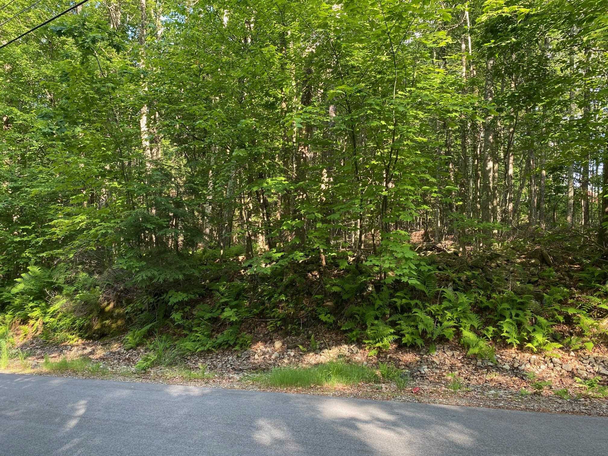 164 Lot 18-3 Mason Rd, Milton, NH 03851