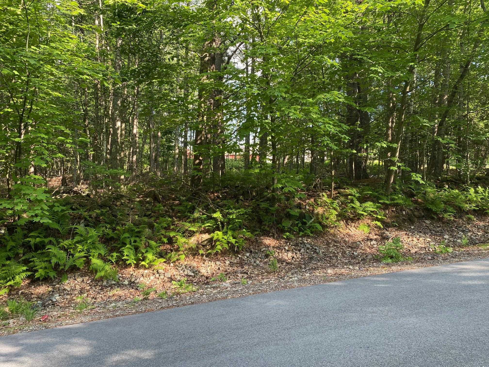 164 Lot 18-3 Mason Rd, Milton, NH 03851