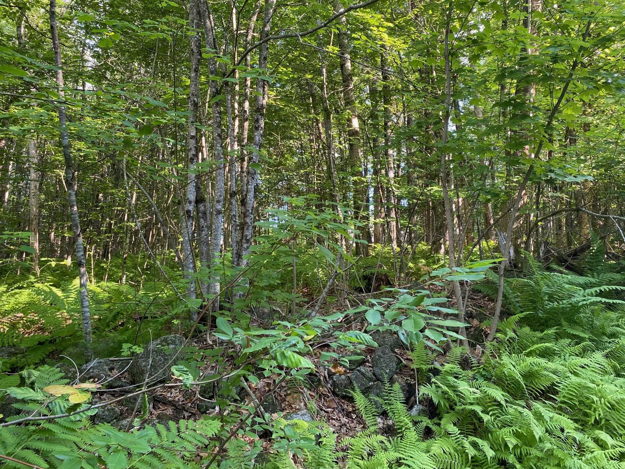164 Lot 18-3 Mason Rd, Milton, NH 03851