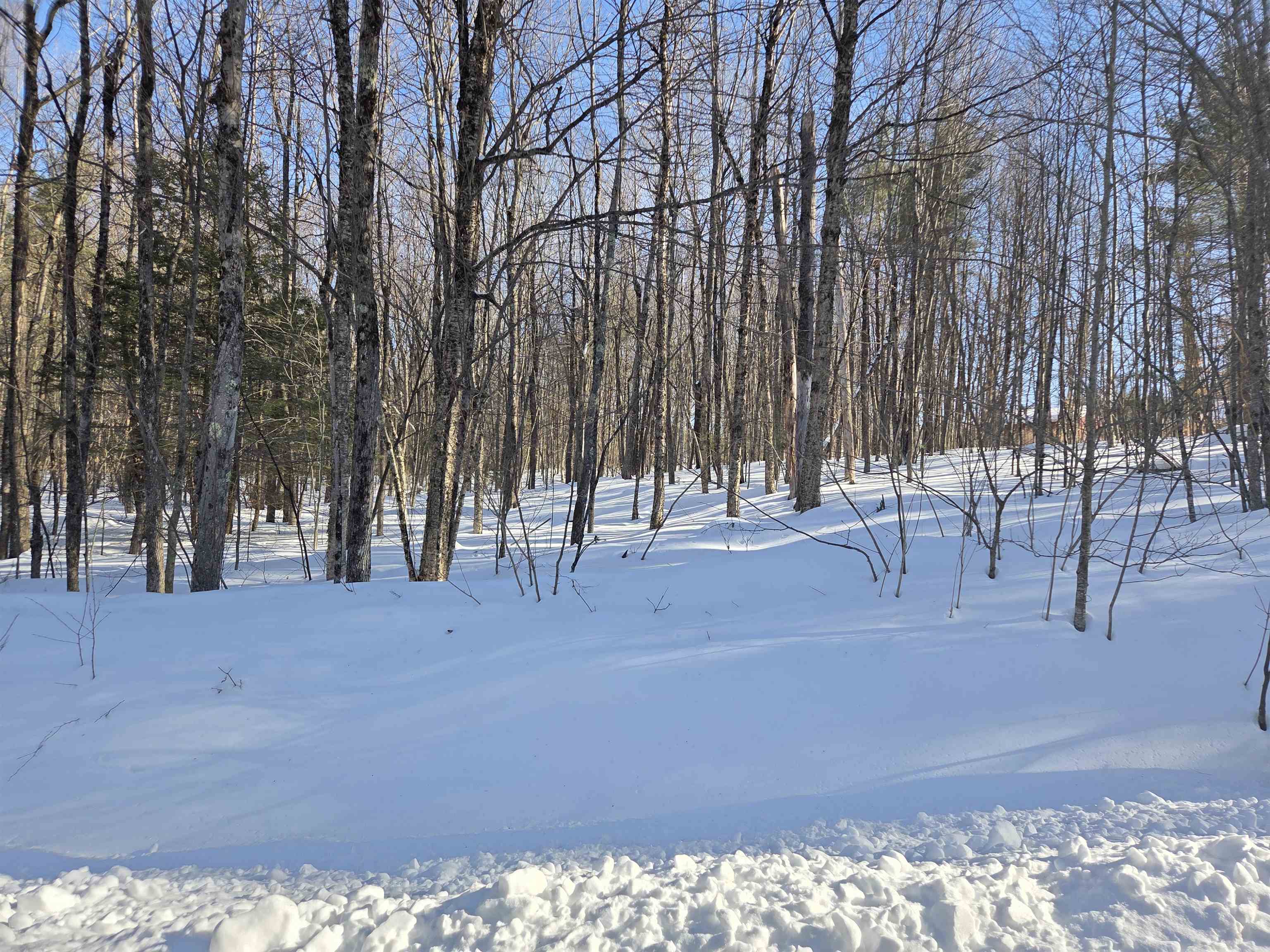164 Lot 18-1 Mason Rd, Milton, NH 03851