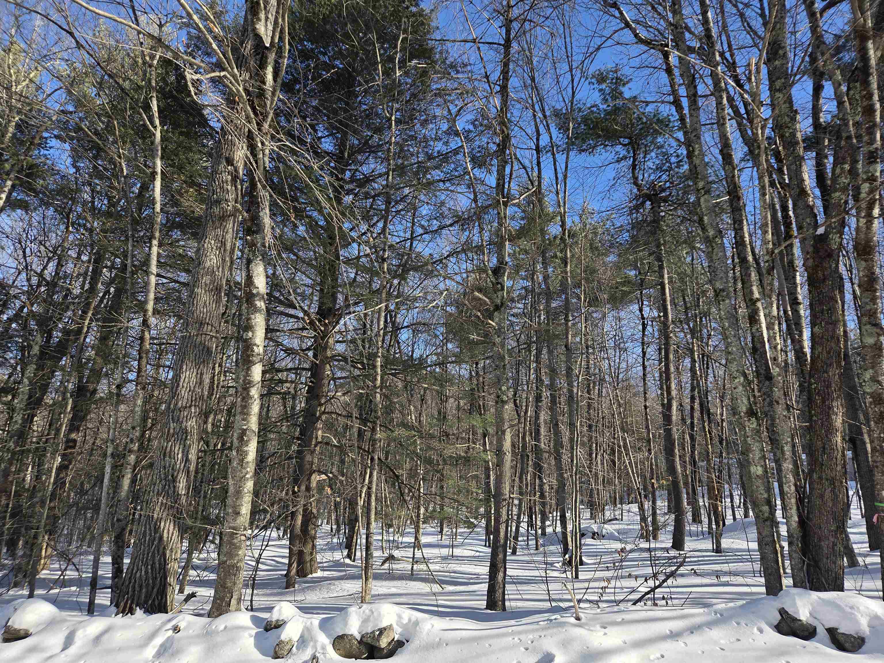 164 Lot 18-1 Mason Rd, Milton, NH 03851