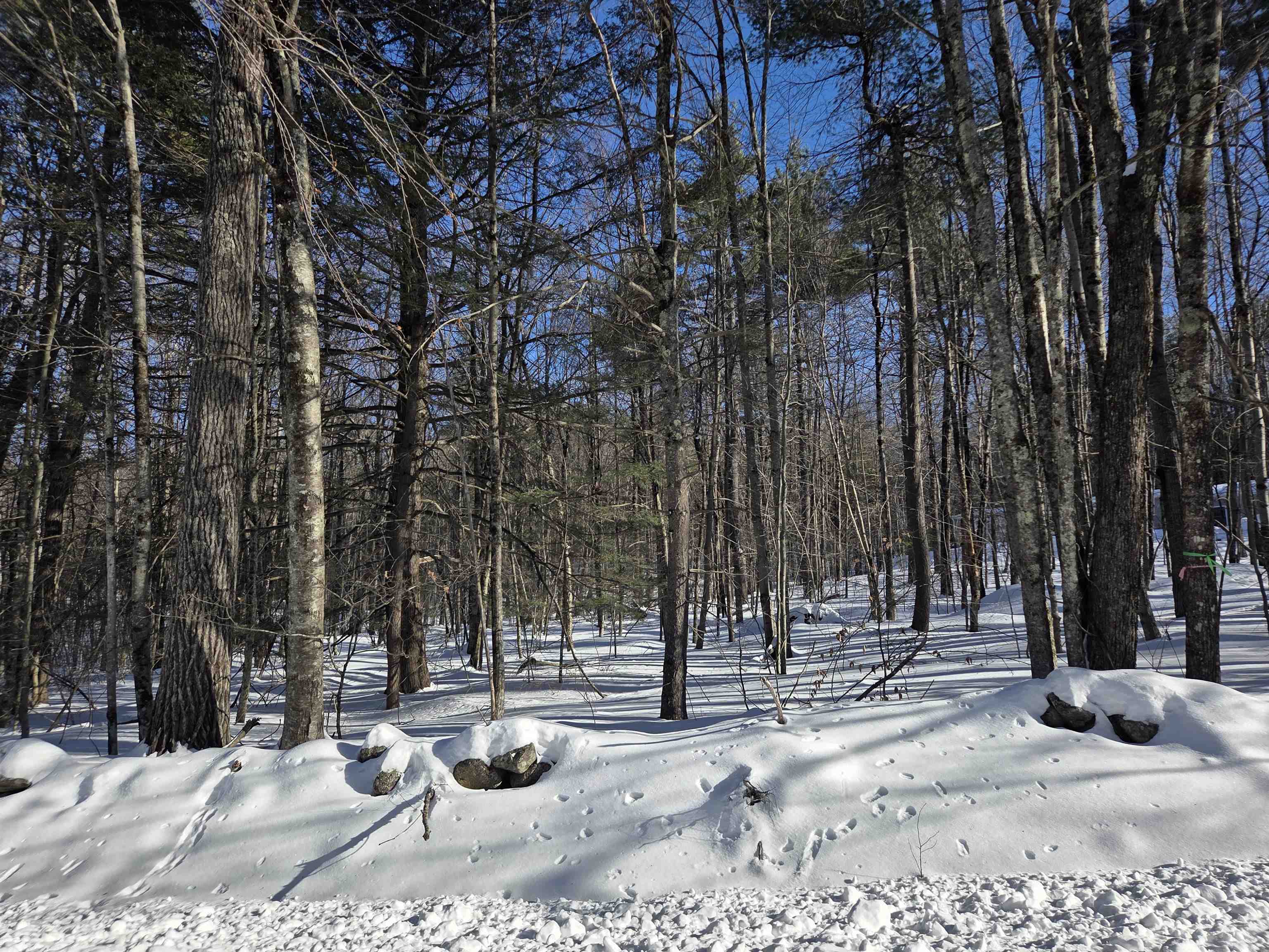 164 Lot 18-1 Mason Rd, Milton, NH 03851
