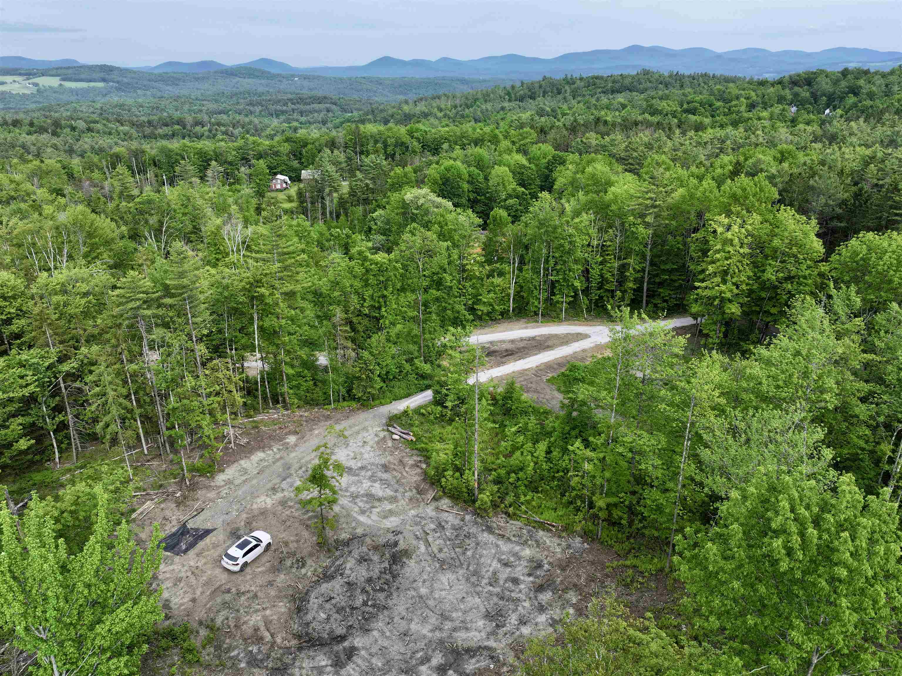 Cut more trees to see Spruce