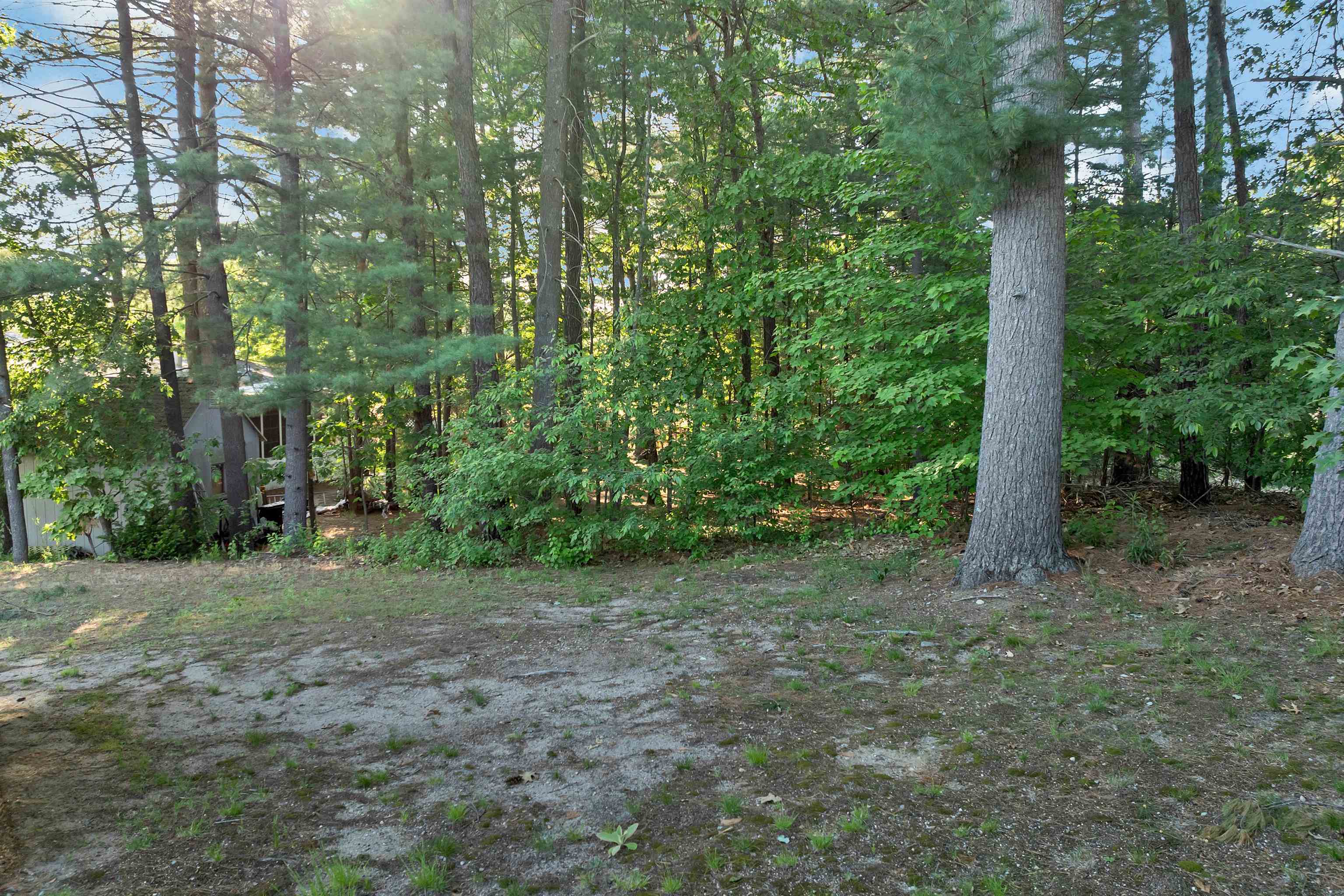 Photo 12 of 52