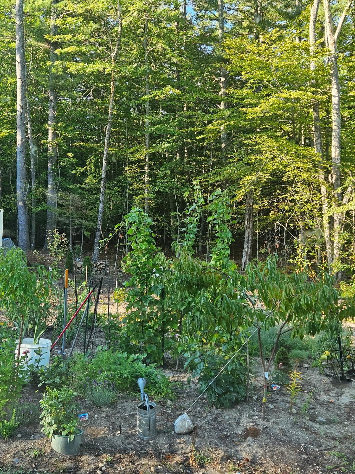 Canal Rd, Wakefield, NH 03872