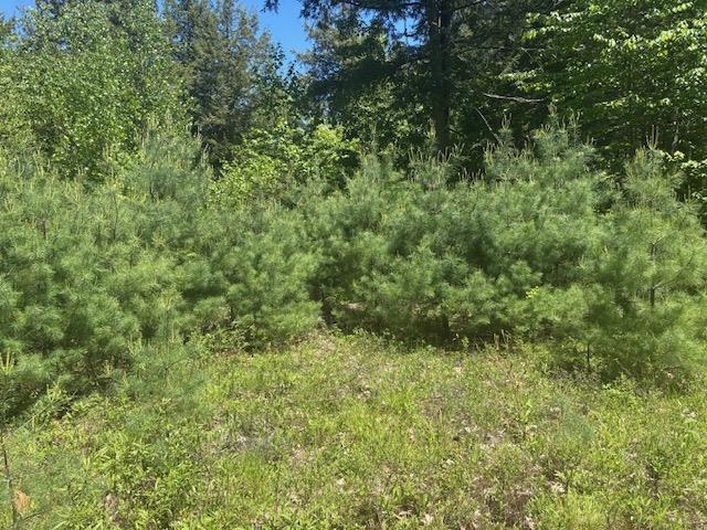 1010 Green Mountain Rd, Effingham, NH 03882