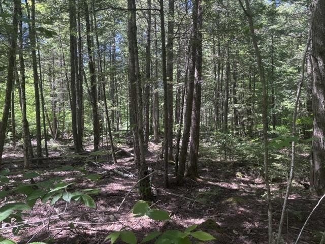 1010 Green Mountain Rd, Effingham, NH 03882