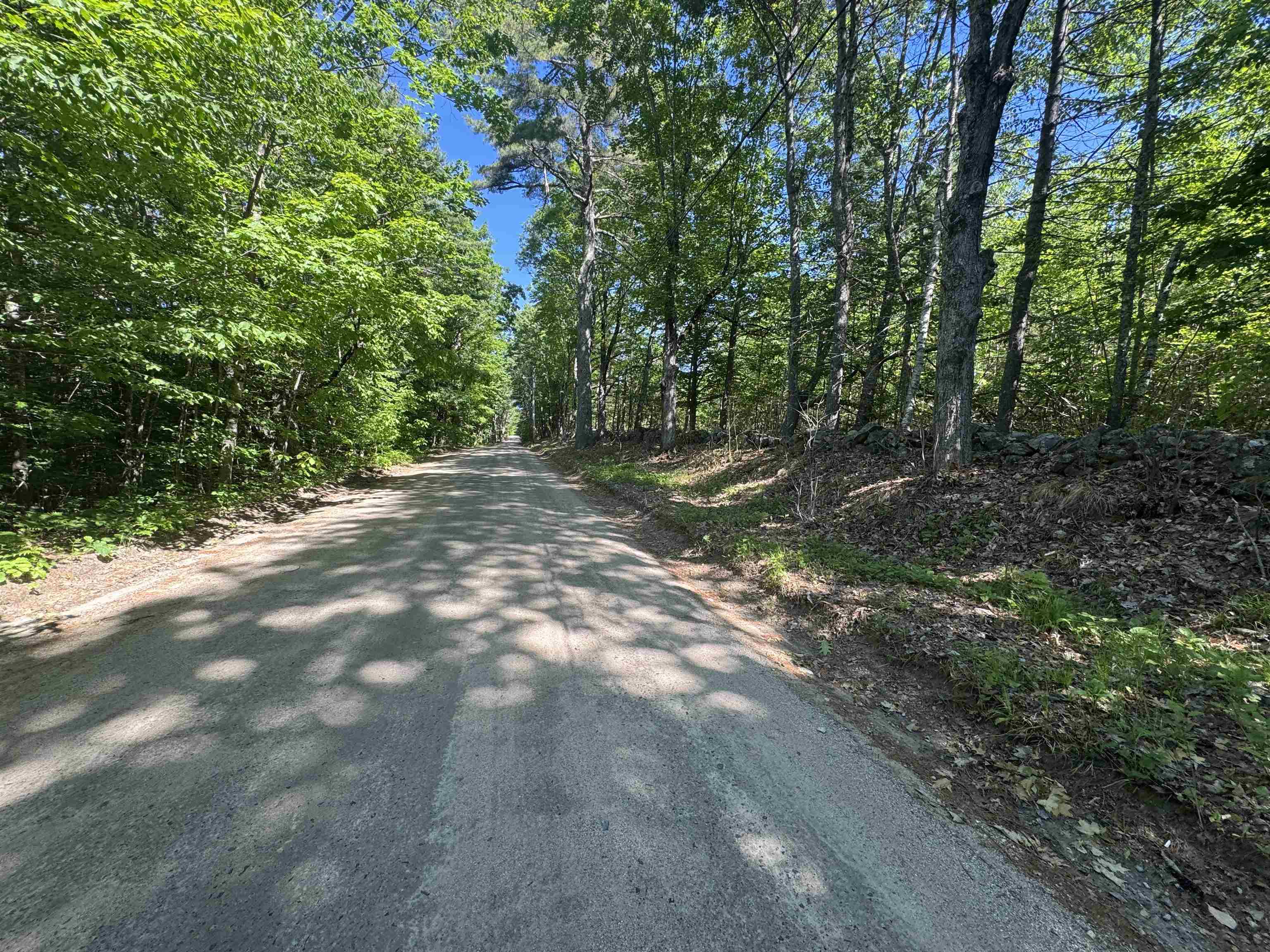Lot 20.3 (TM4) John Hodgdon Road — photo 2