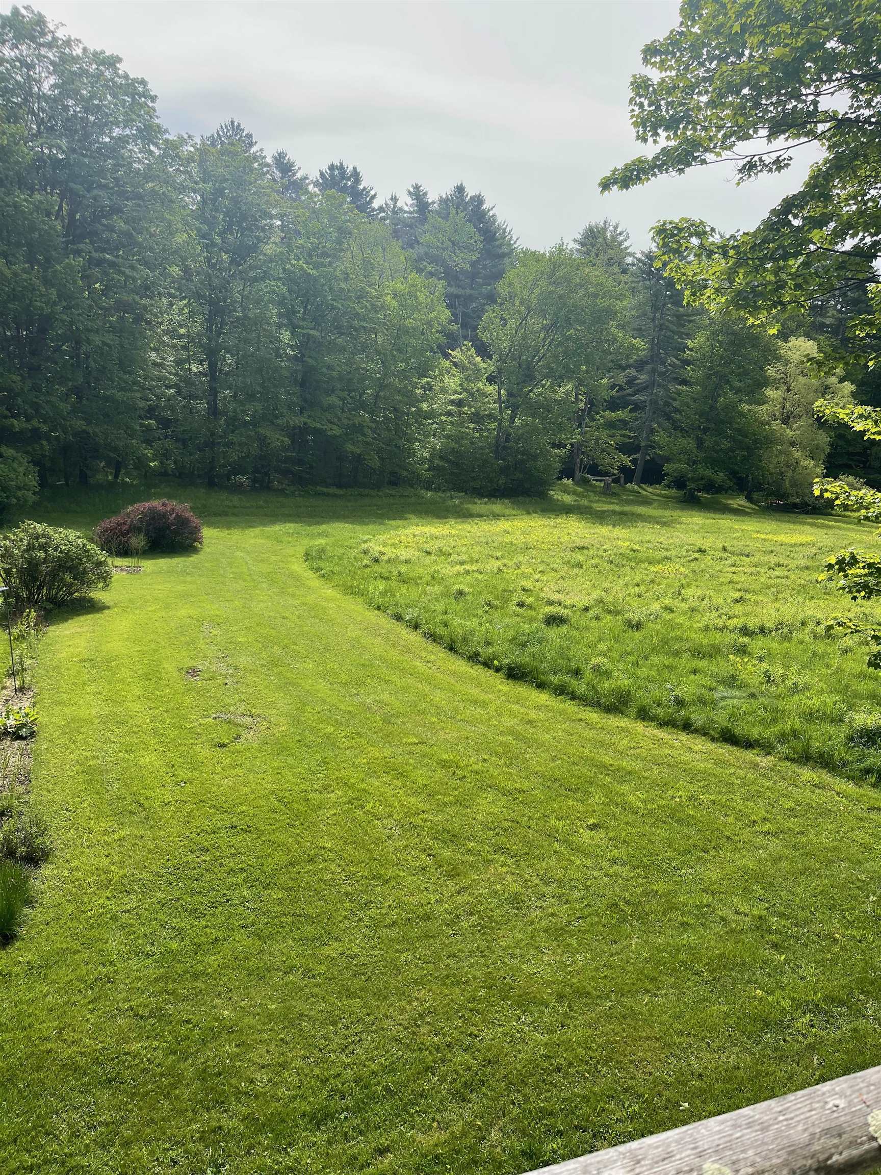 View from the private deck 25467987