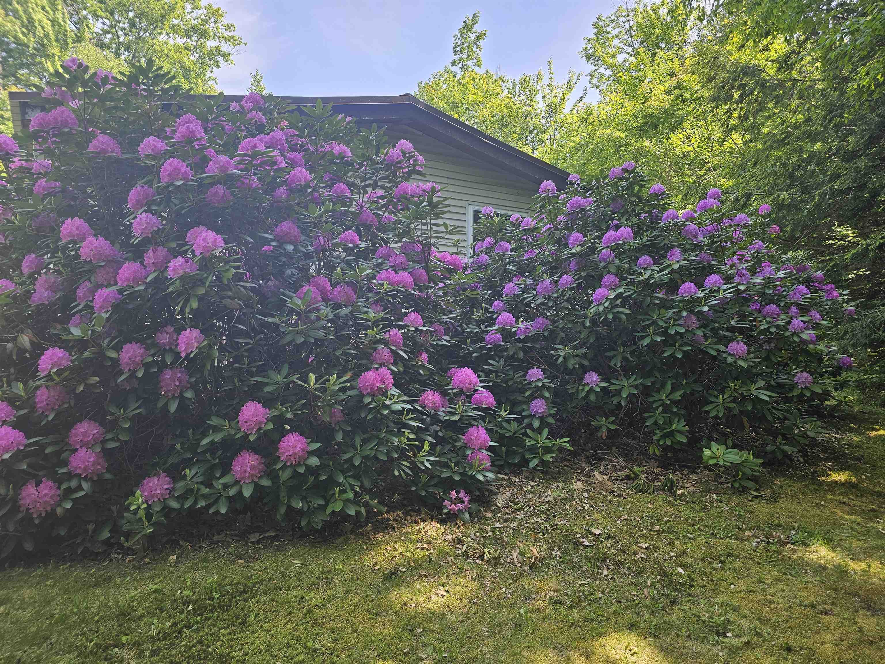 1616 Acworth Rd, Charlestown, NH 03603
