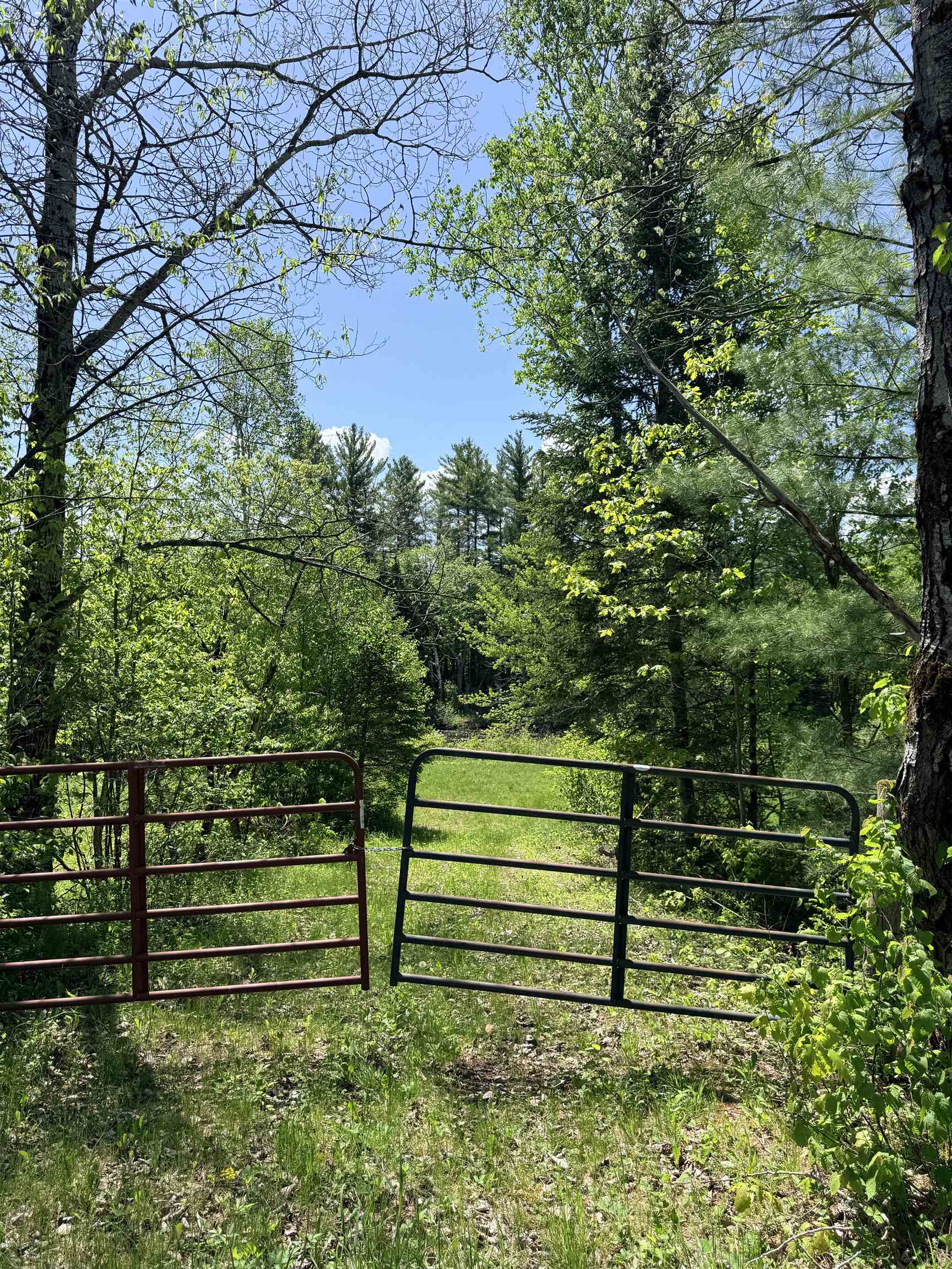 00 Northside Rd, Stark, NH 03582