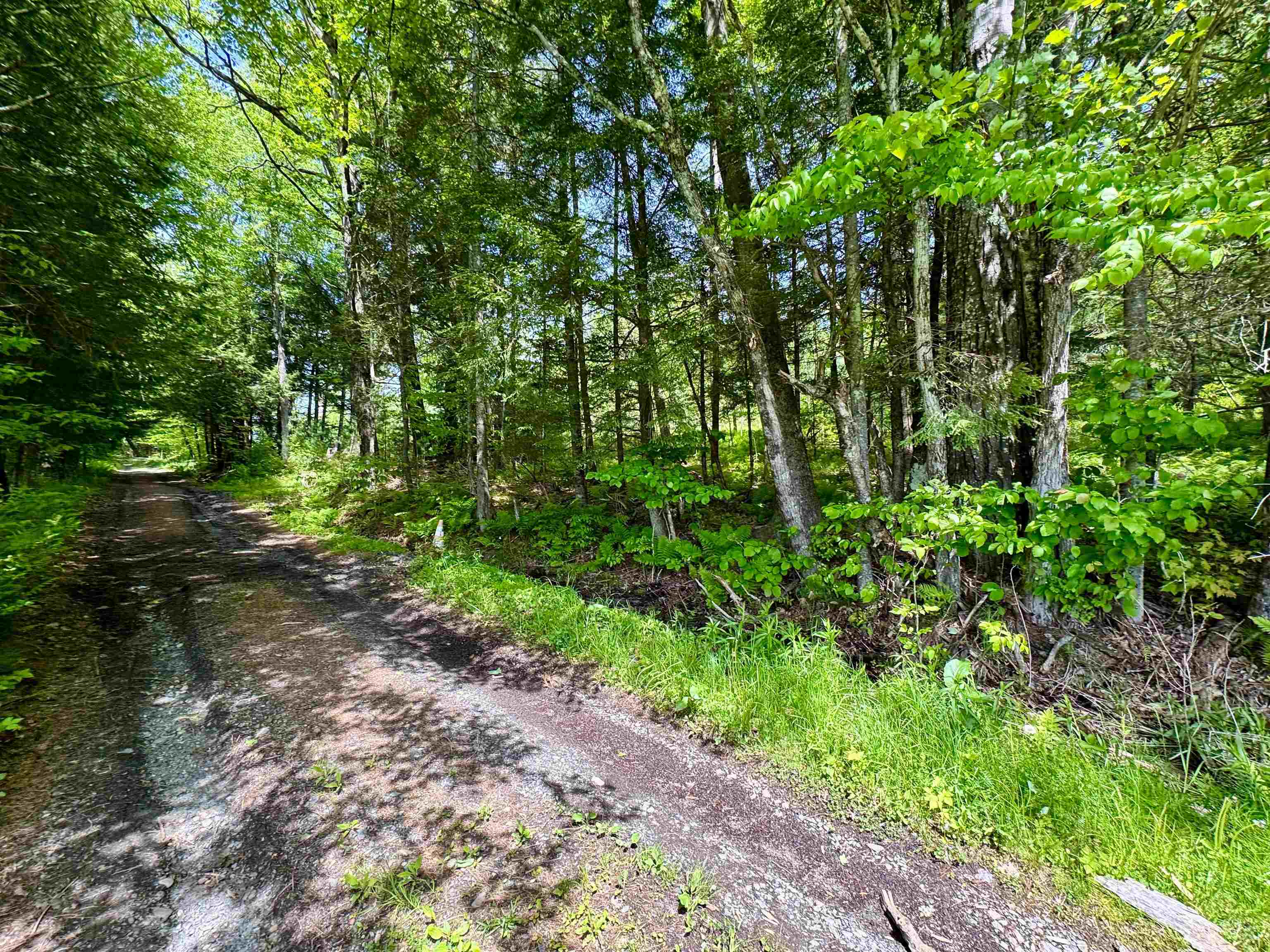 Bradford VT&nbsp;Land for sale $42,000 | 12 Acres  | Price Per Acre $0 
