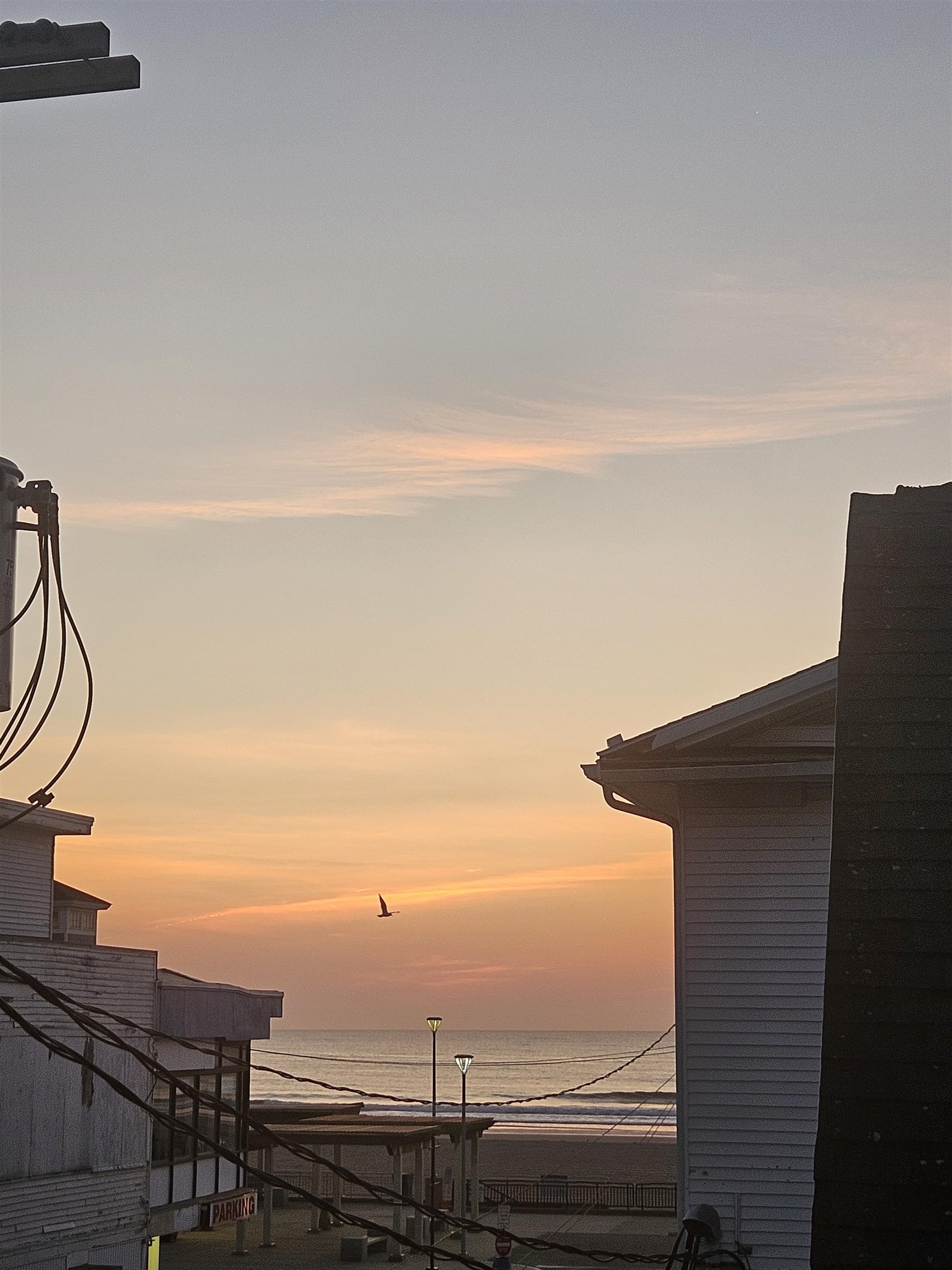 7 F St #3, Hampton, NH 03842
