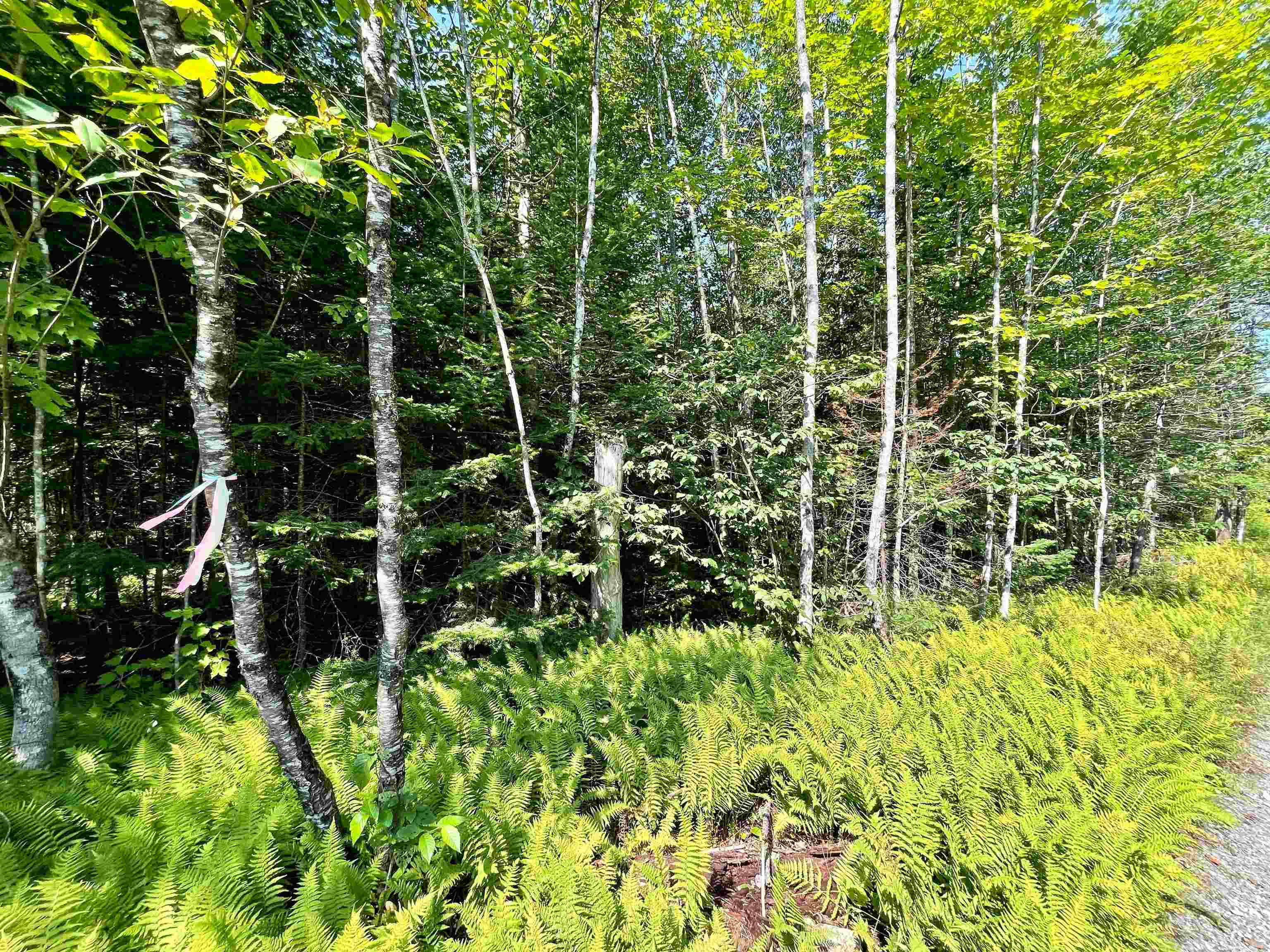 Peacham VT&nbsp;Land for sale $$125,000 | 2.6 Acres  | Price Per Acre $0 