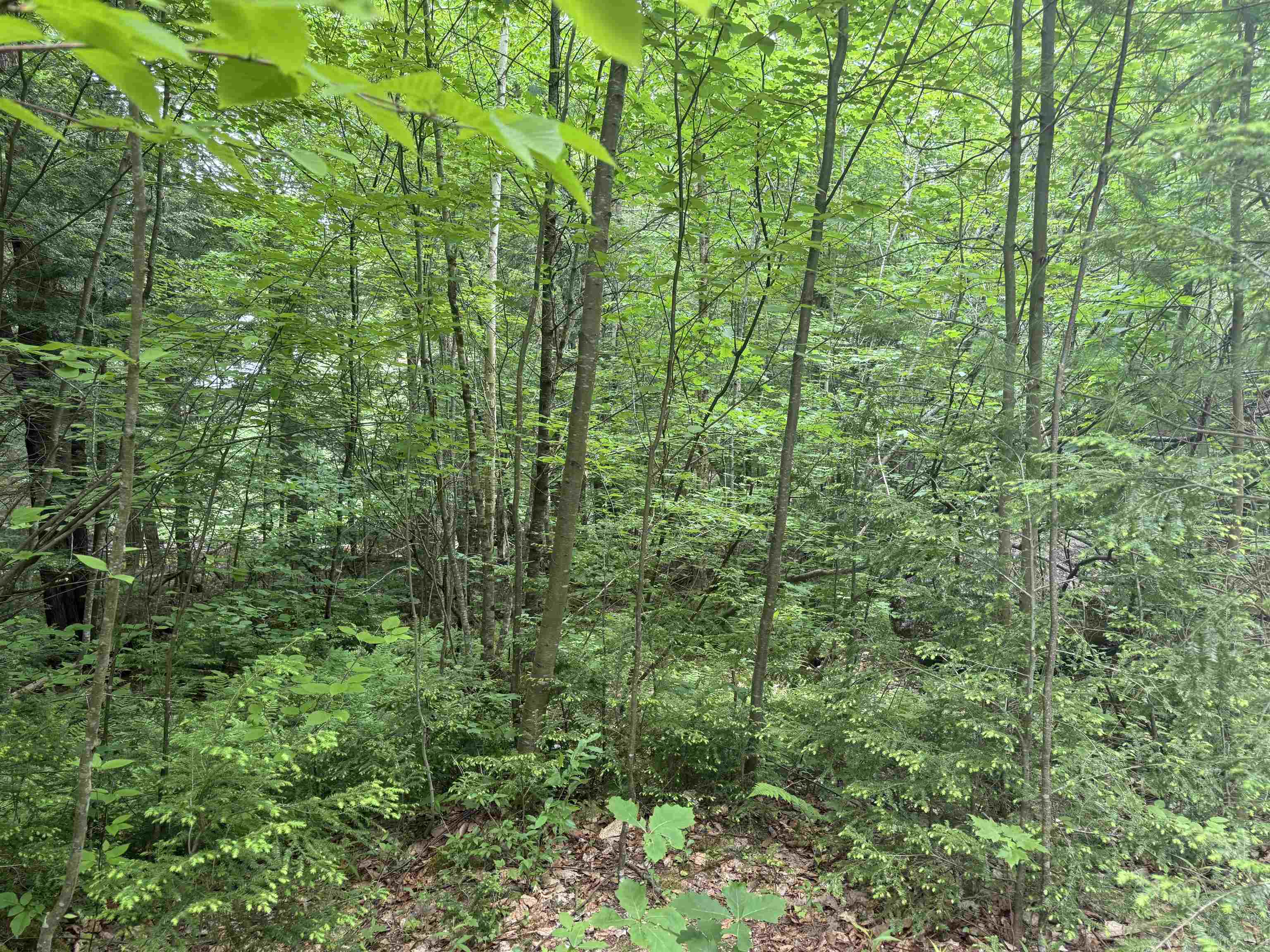 44 Huntington Dr, Hillsborough, NH 03244