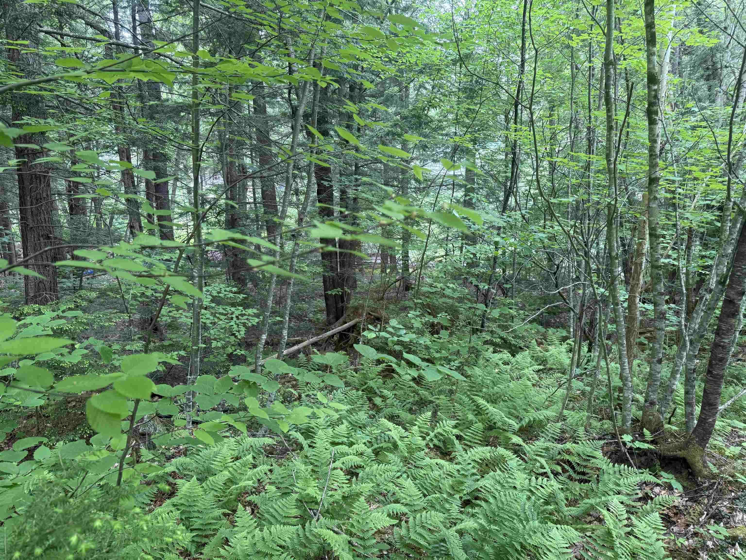 44 Huntington Dr, Hillsborough, NH 03244