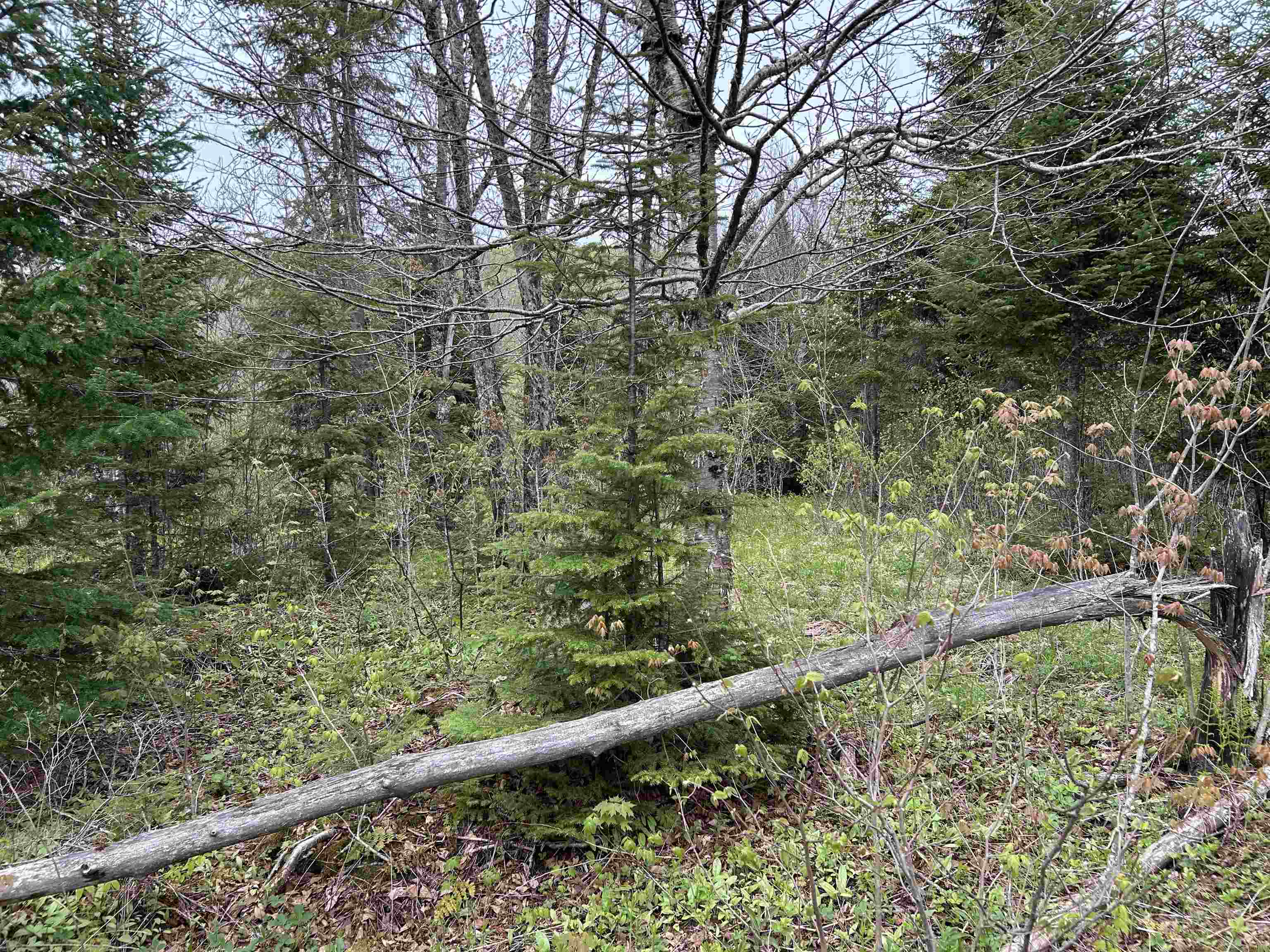 MapB2Lot16 Deadwater Rd, Stewartstown, NH 03597