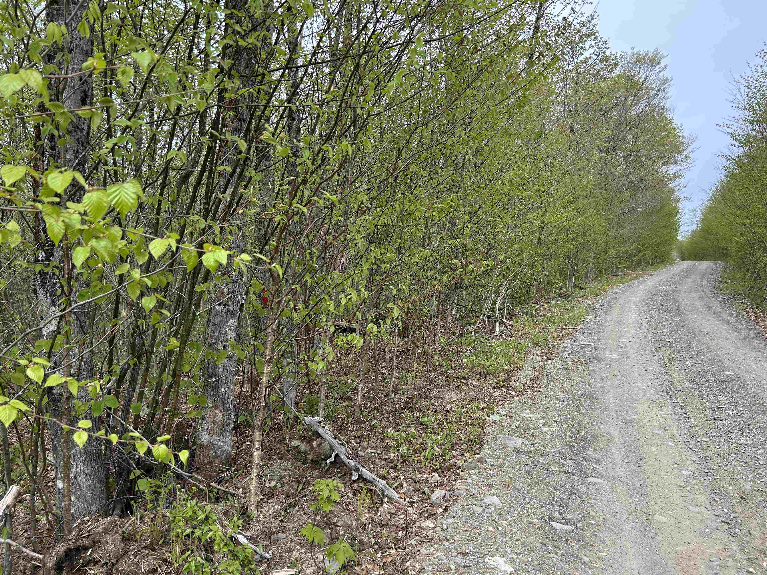 MapB2Lot16 Deadwater Rd, Stewartstown, NH 03597