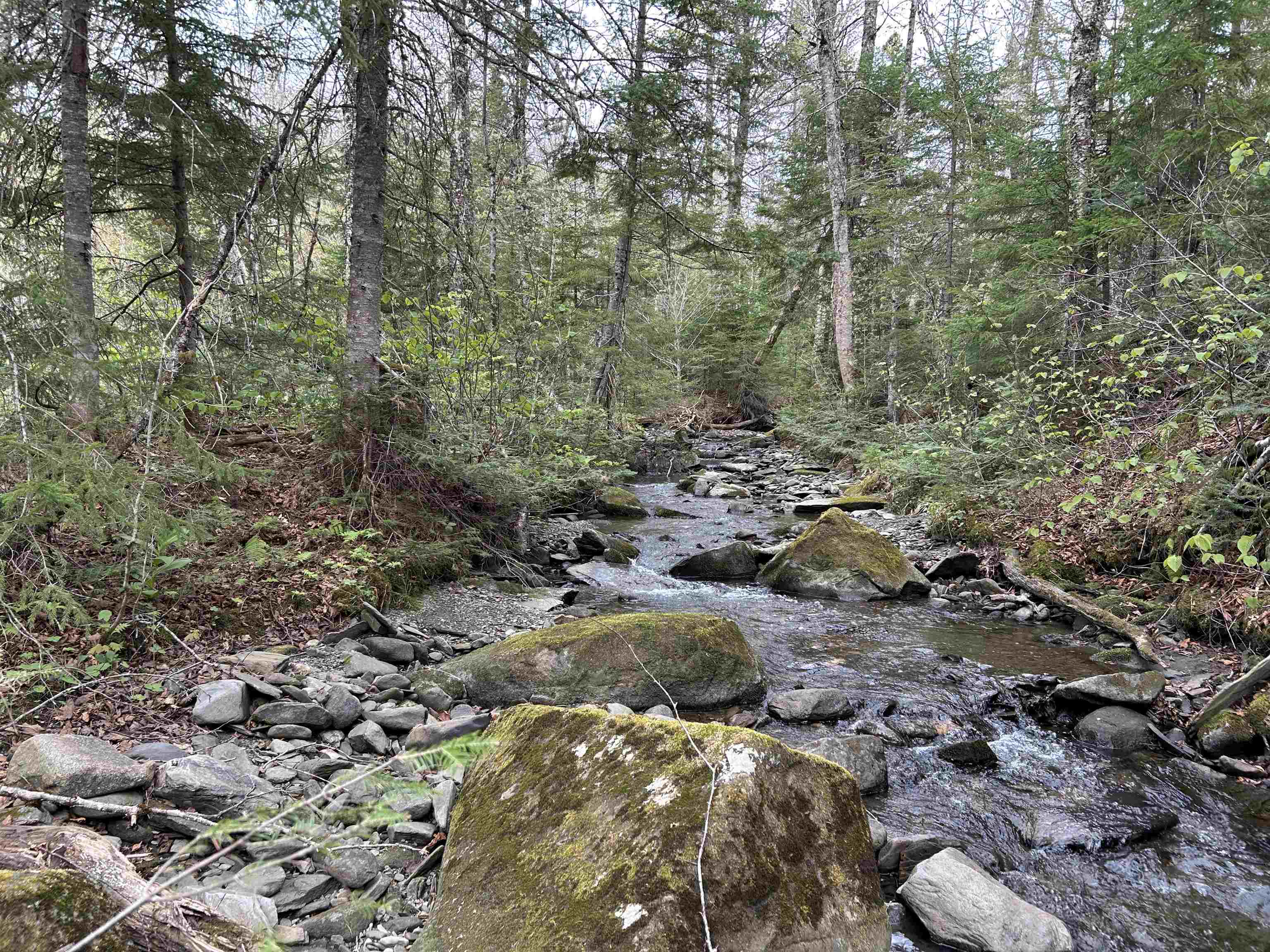 MapB2Lot16 Deadwater Rd, Stewartstown, NH 03597