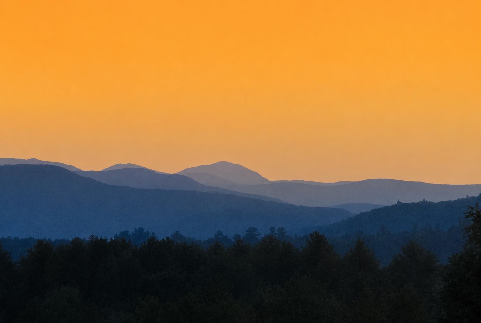 Mt Washington