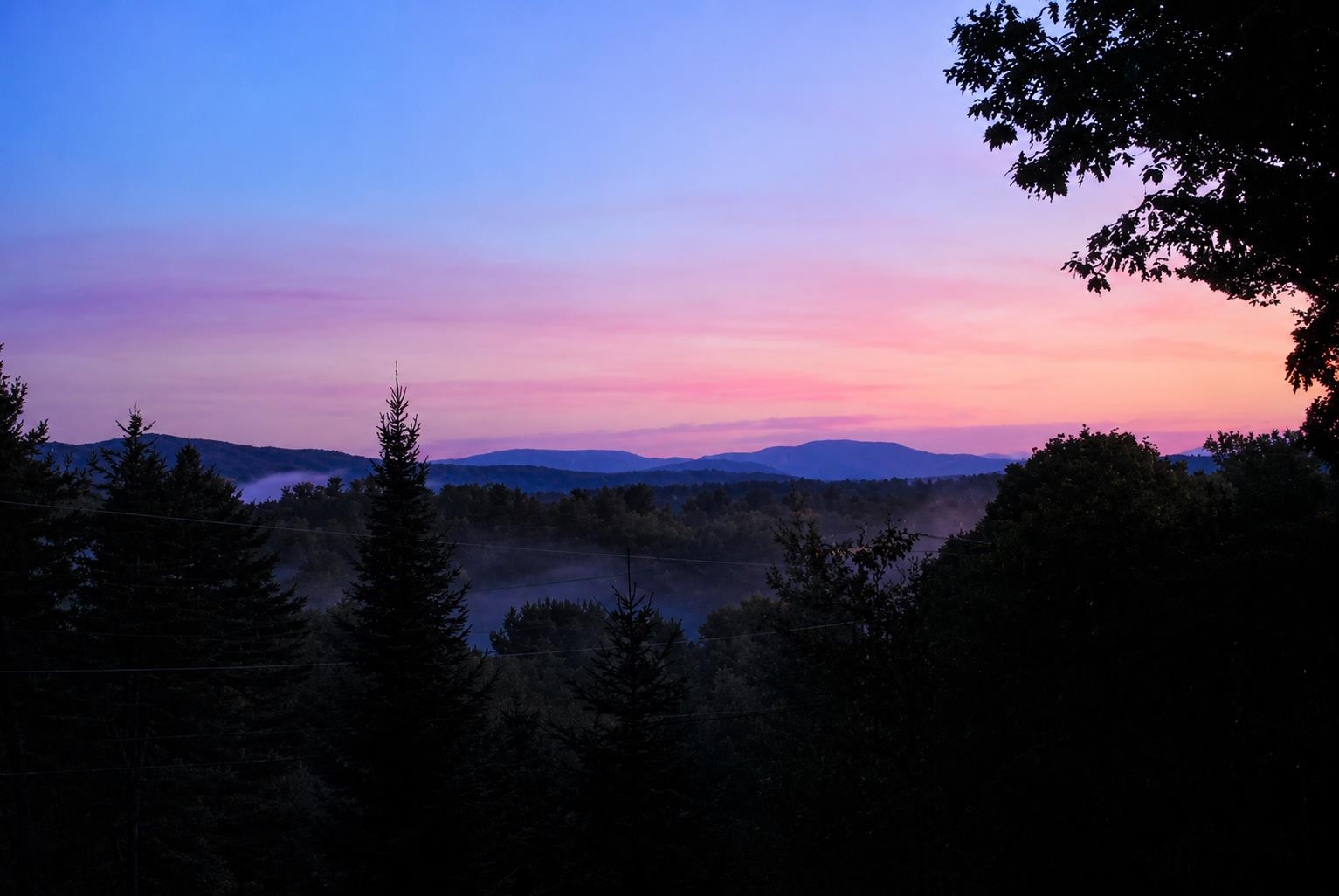 View from the dining room window