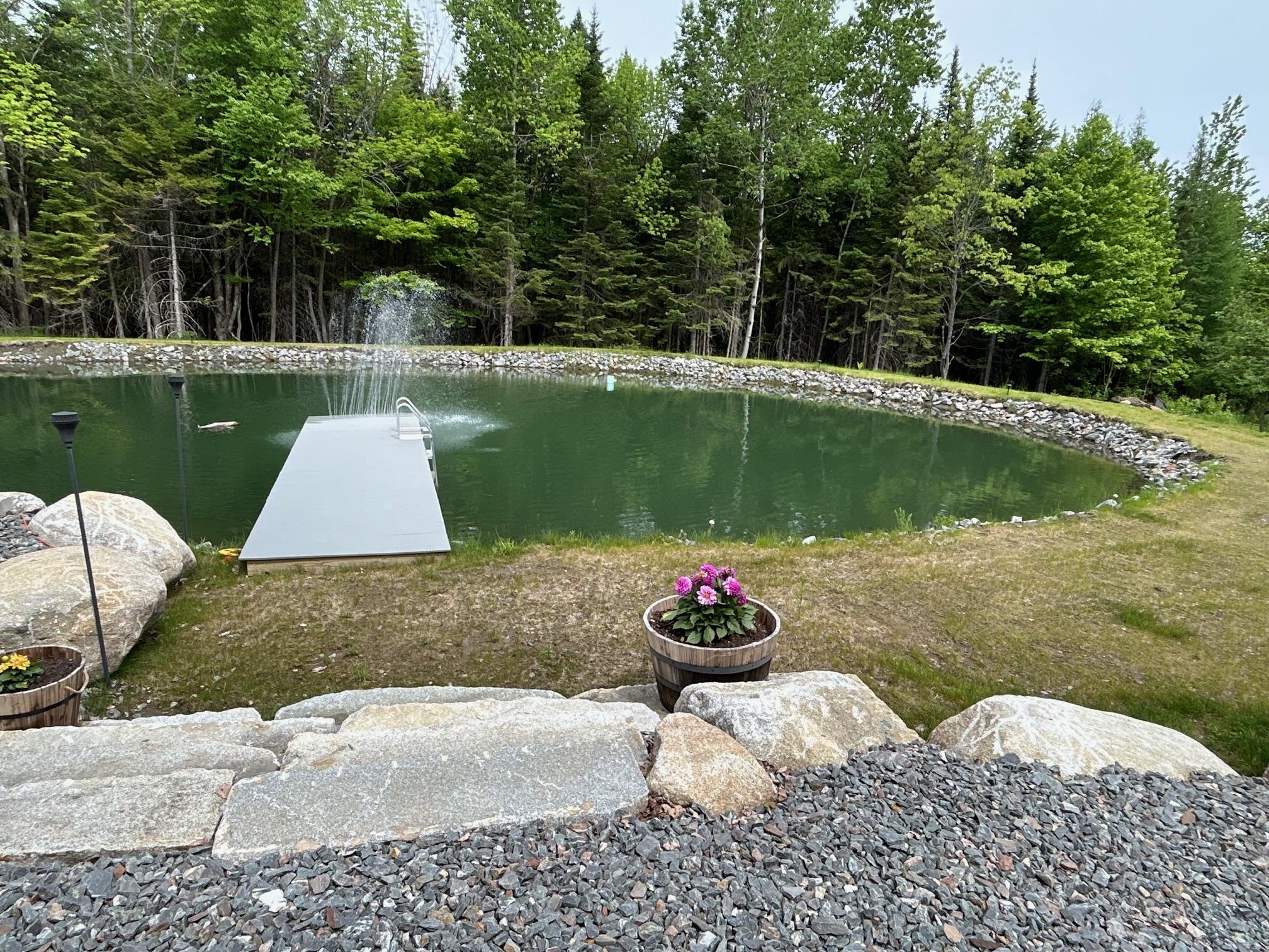 Dock for pond swimming