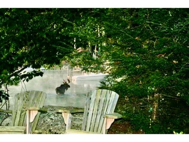 28 Veasey Shore Rd, Meredith, NH 03253