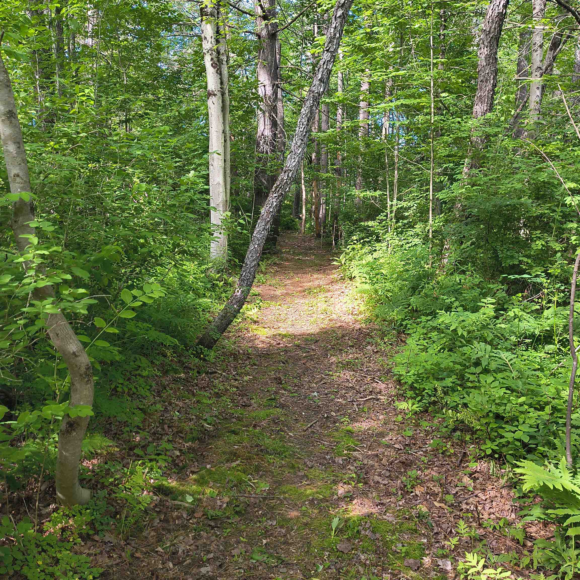 638 John Stark Hw, Newport, NH 03773