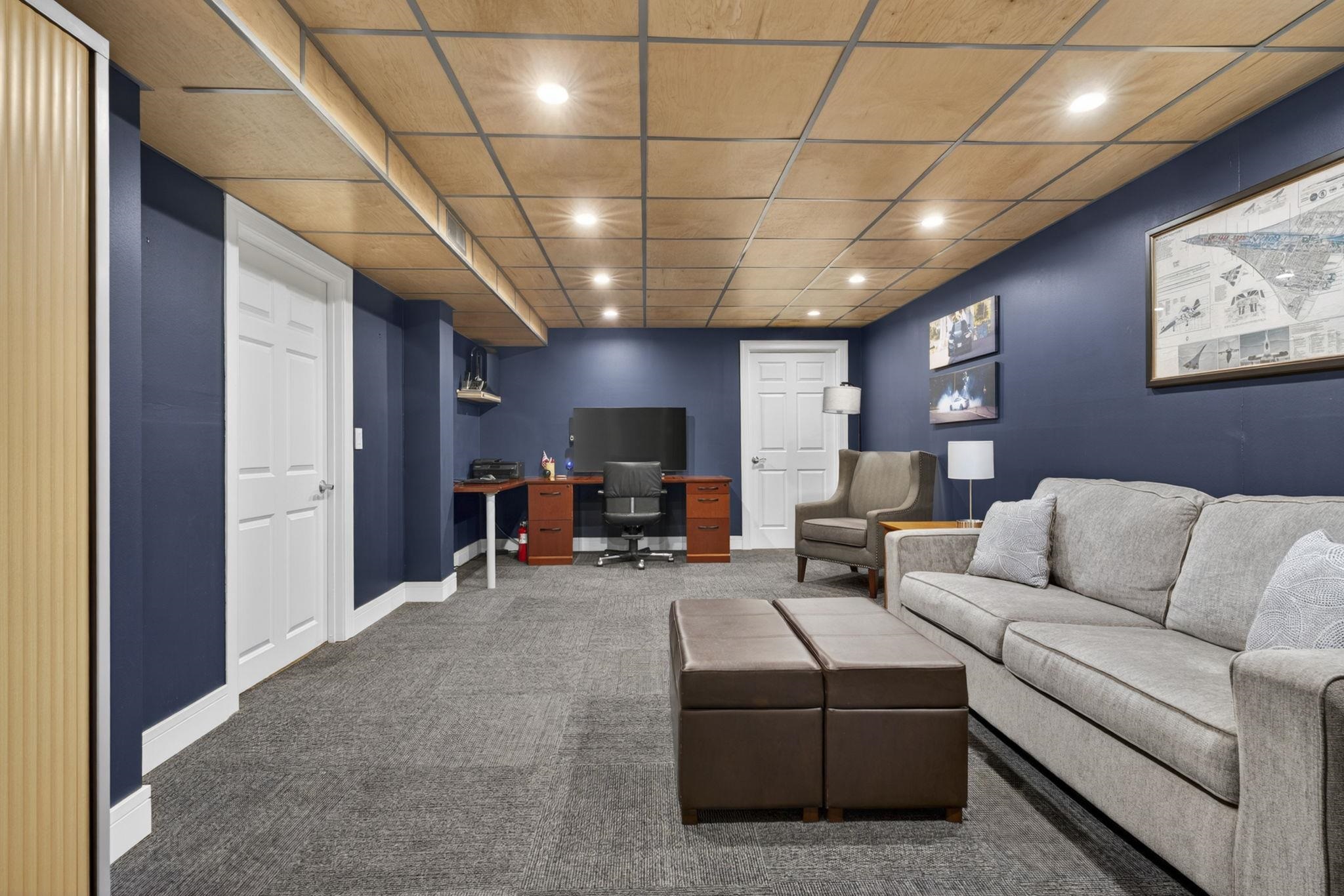 Office/ home theatre/ flex space
