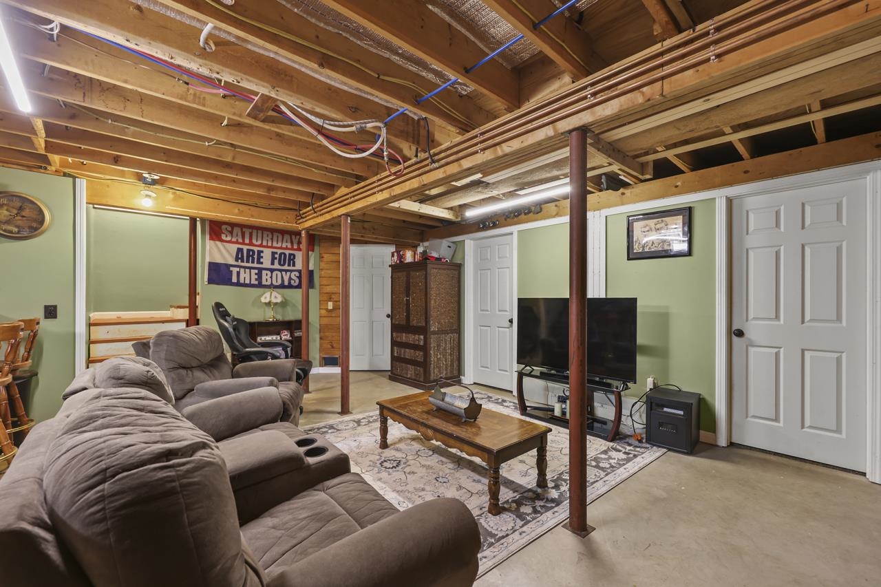Basement/lower level