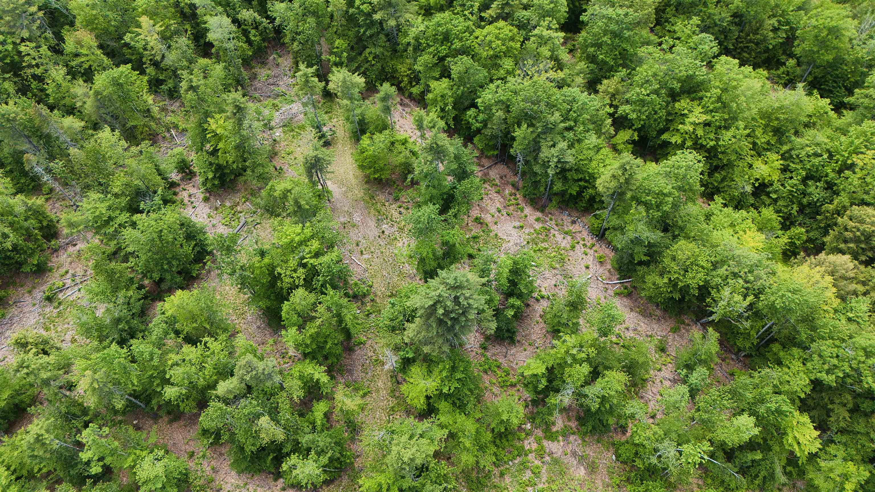 160 Browns Ridge Rd, Ossipee, NH 03864